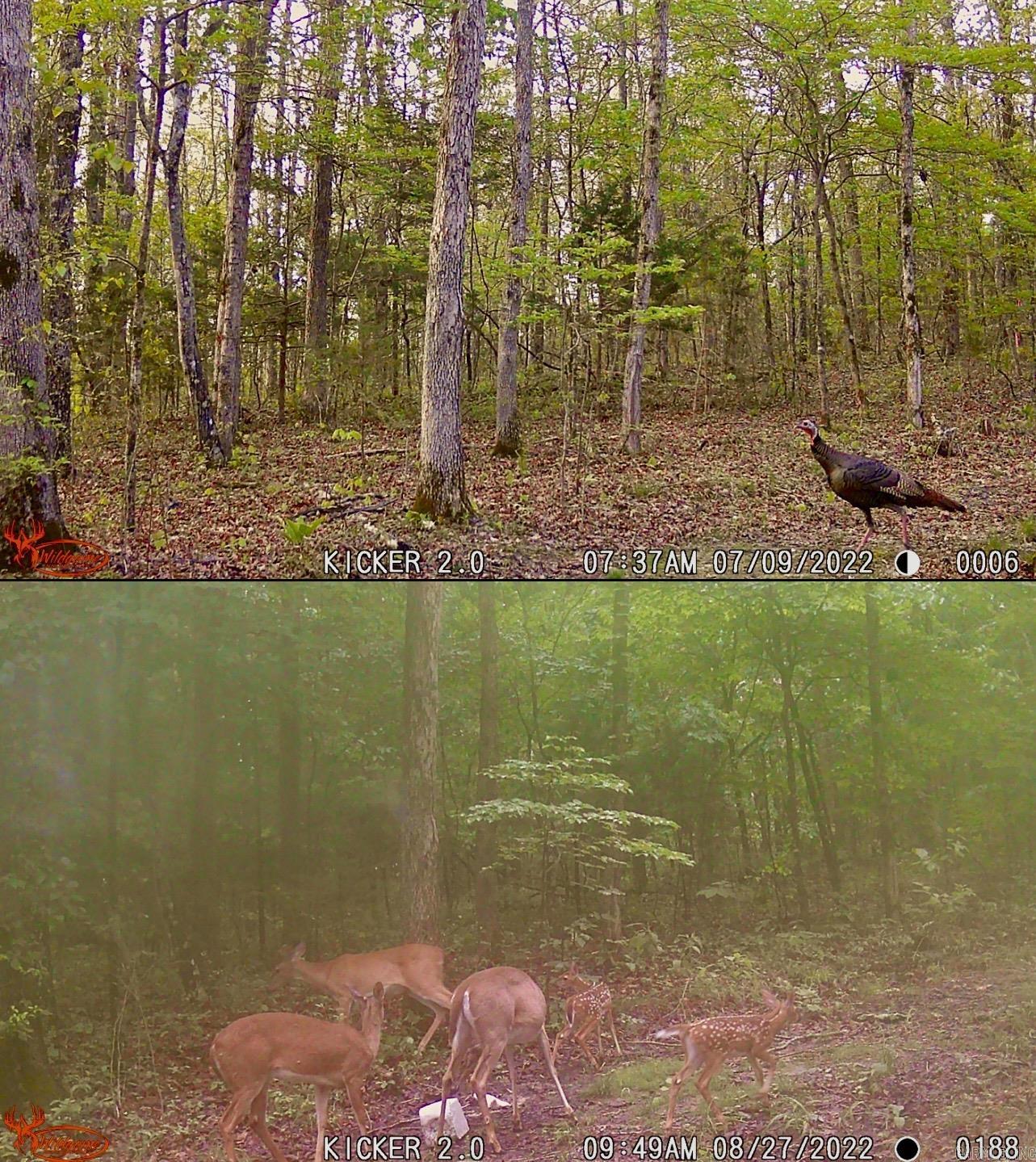 Not in Subdivision - Farm