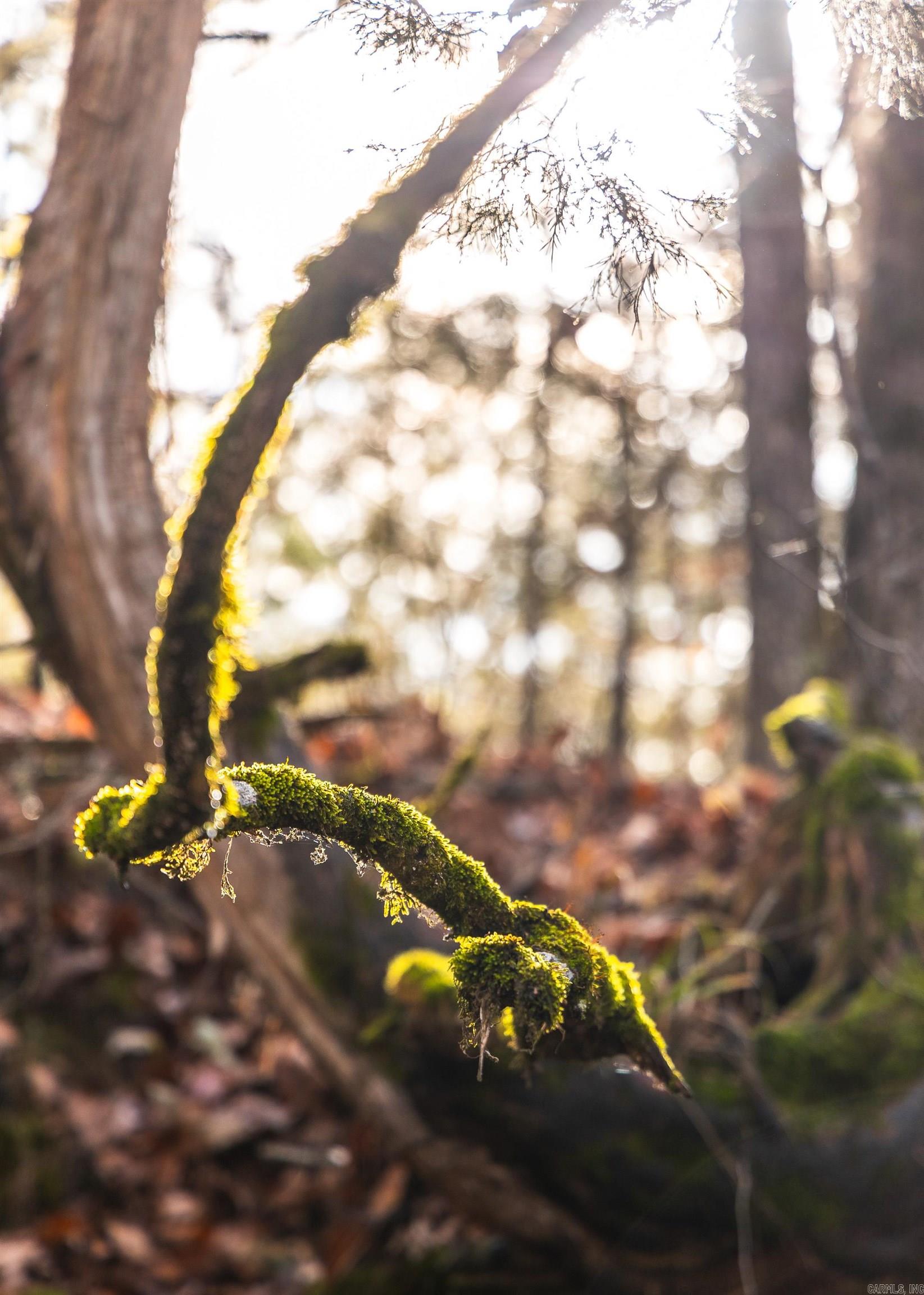 Not in Subdivision - Farm