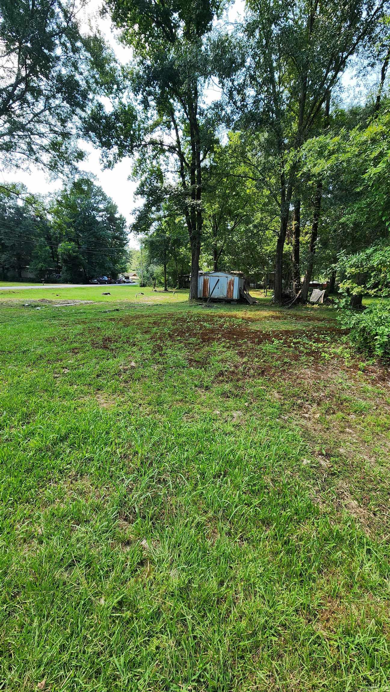 Piney Woods - Land