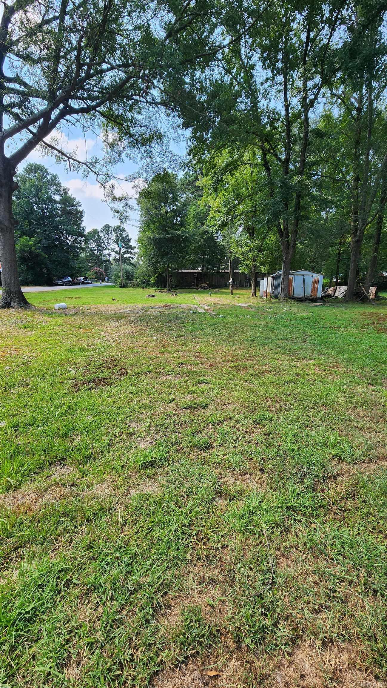 Piney Woods - Land