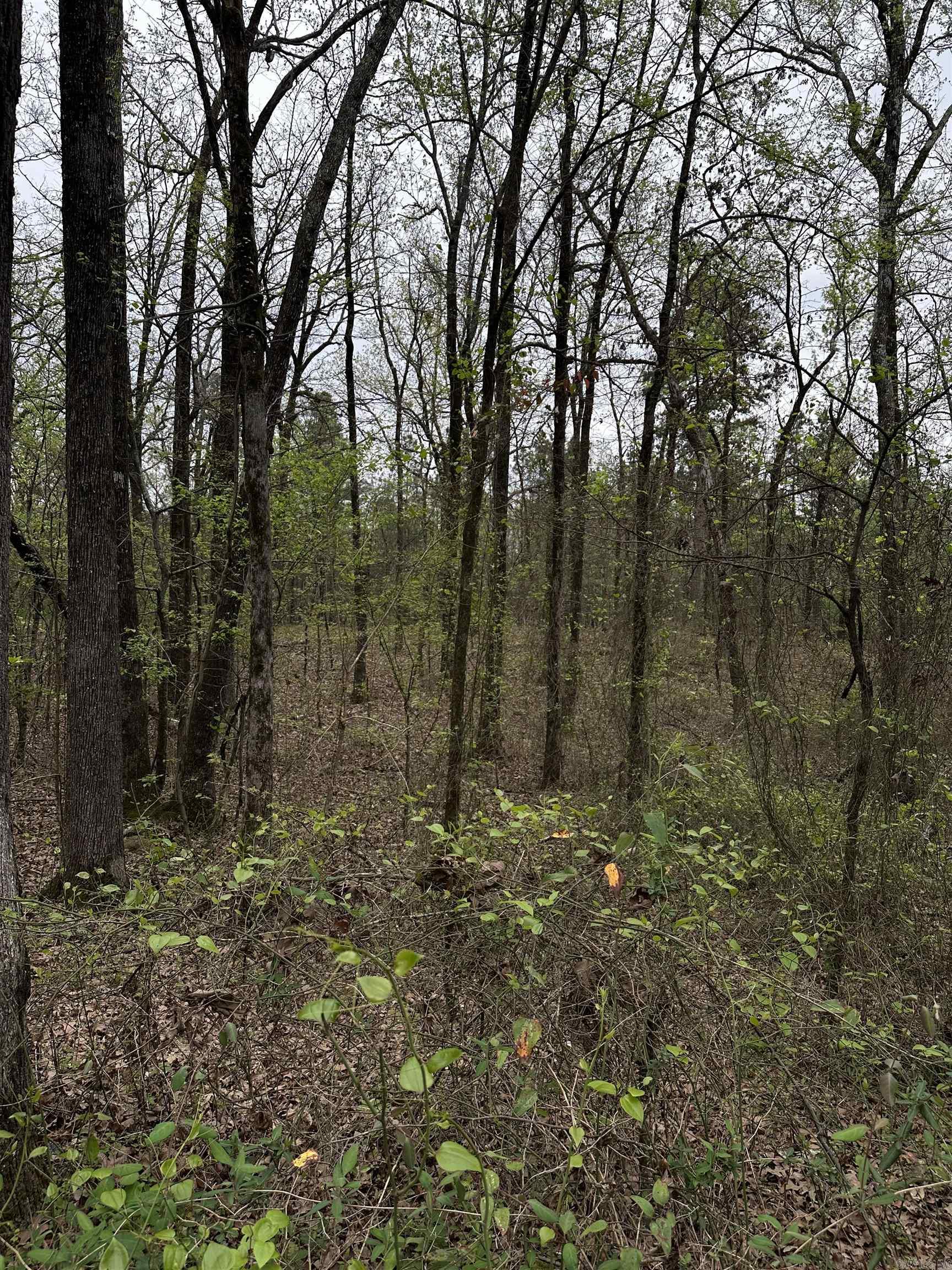 Interurban Heights - Land