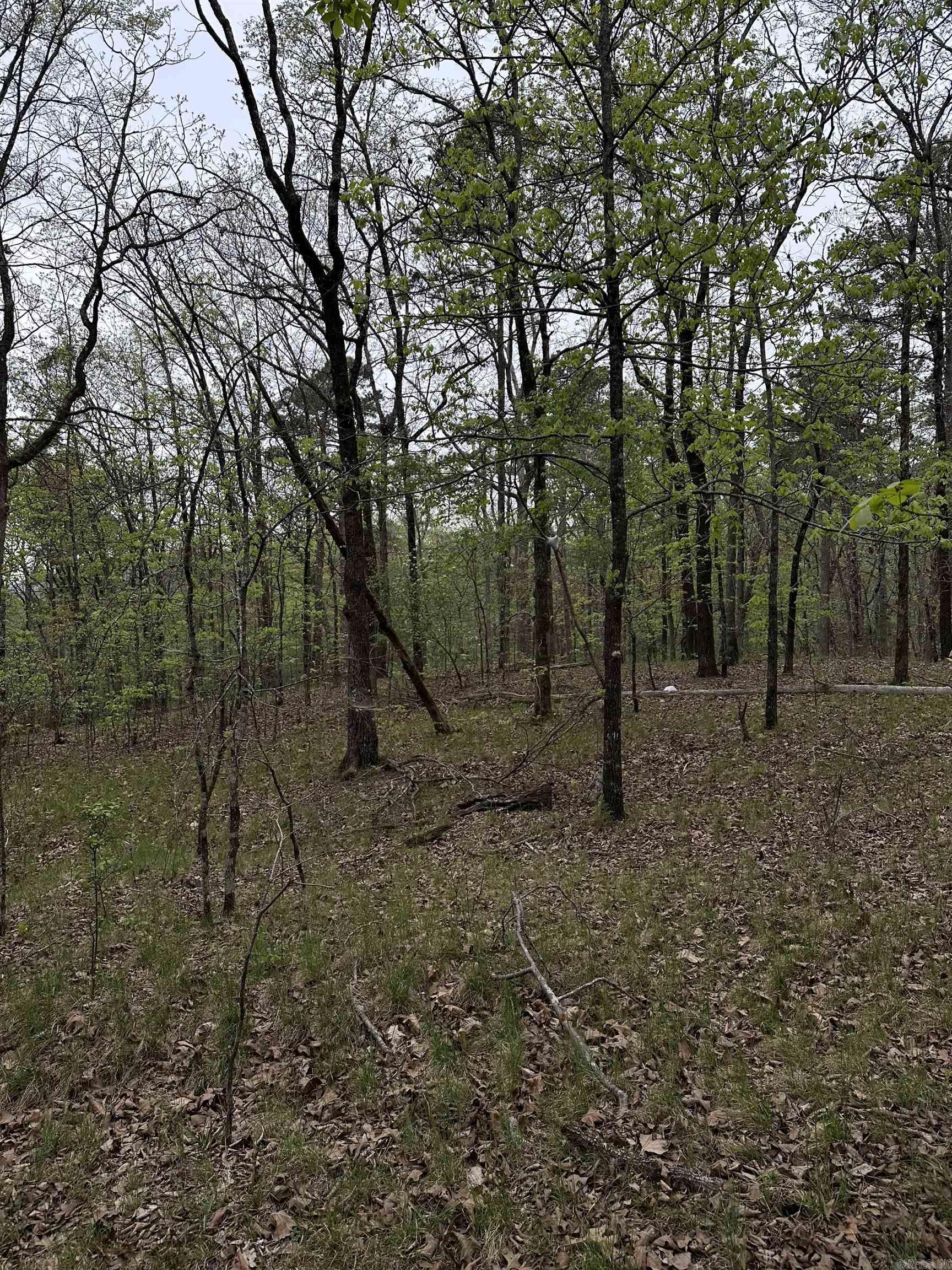 Interurban Heights - Land