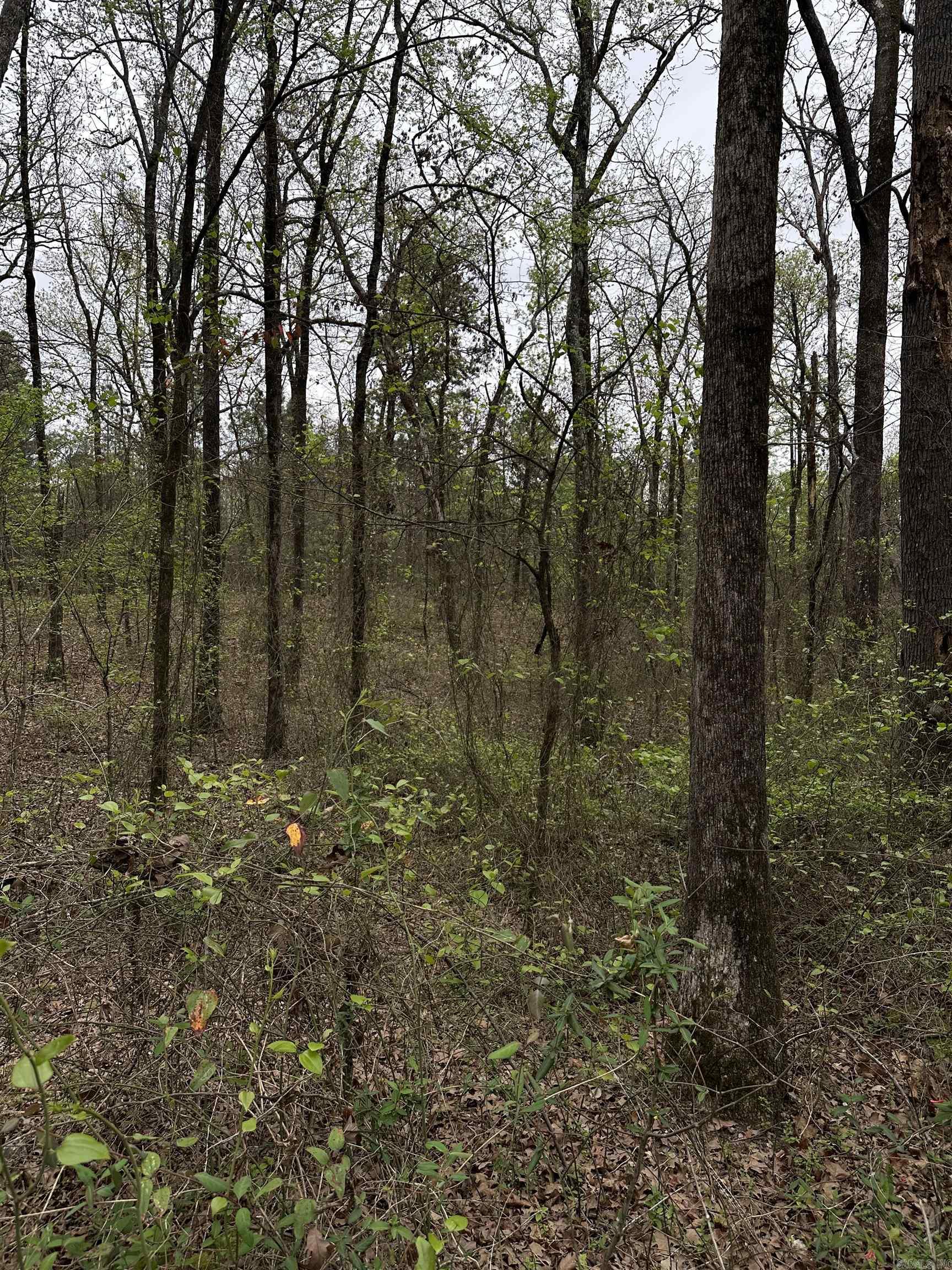 Interurban Heights - Land