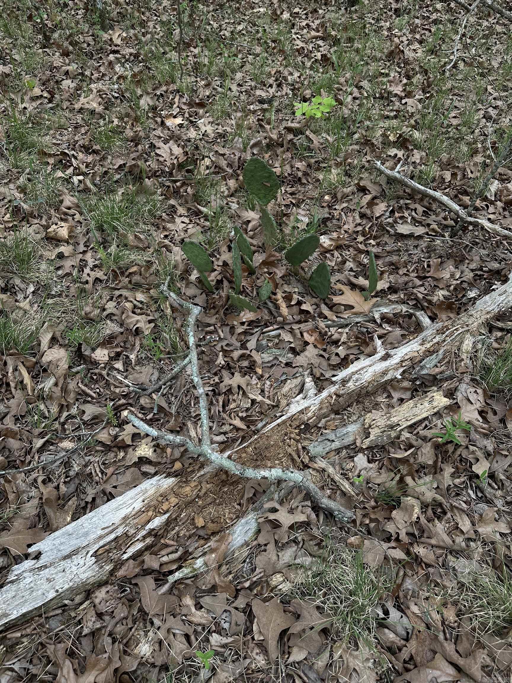 Interurban Heights - Land