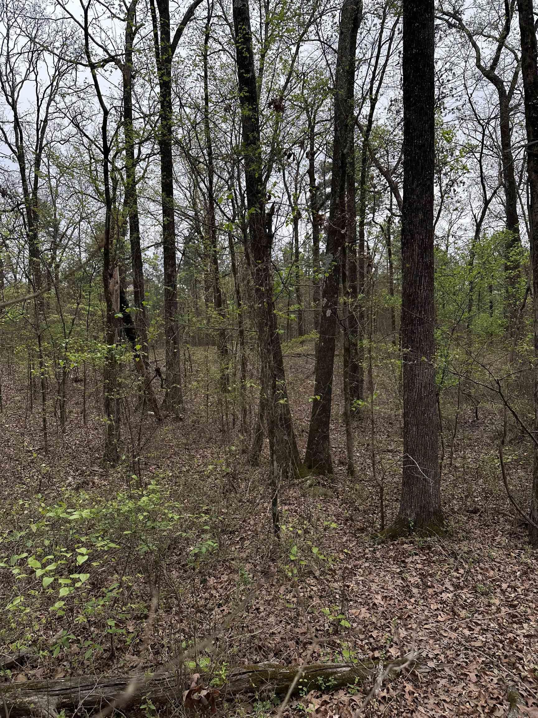 Interurban Heights - Land