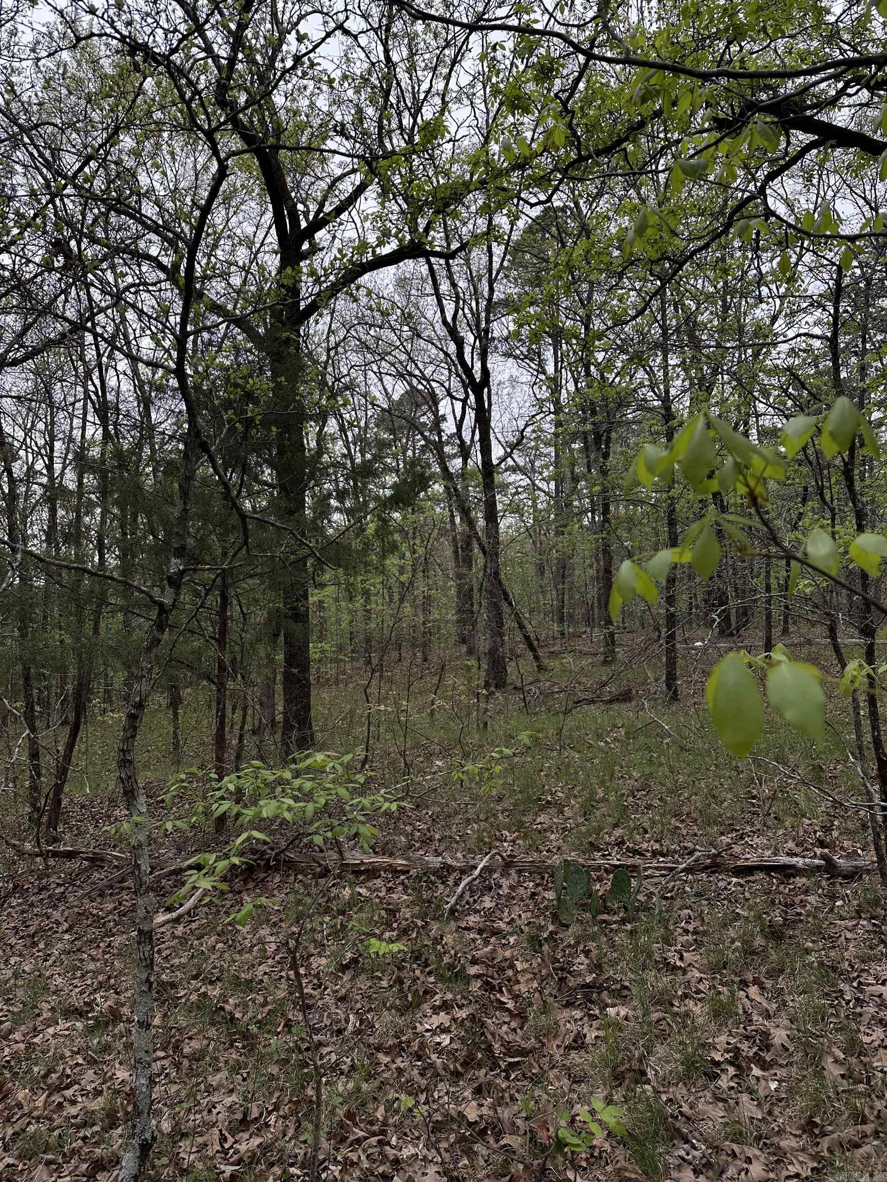 Interurban Heights - Land