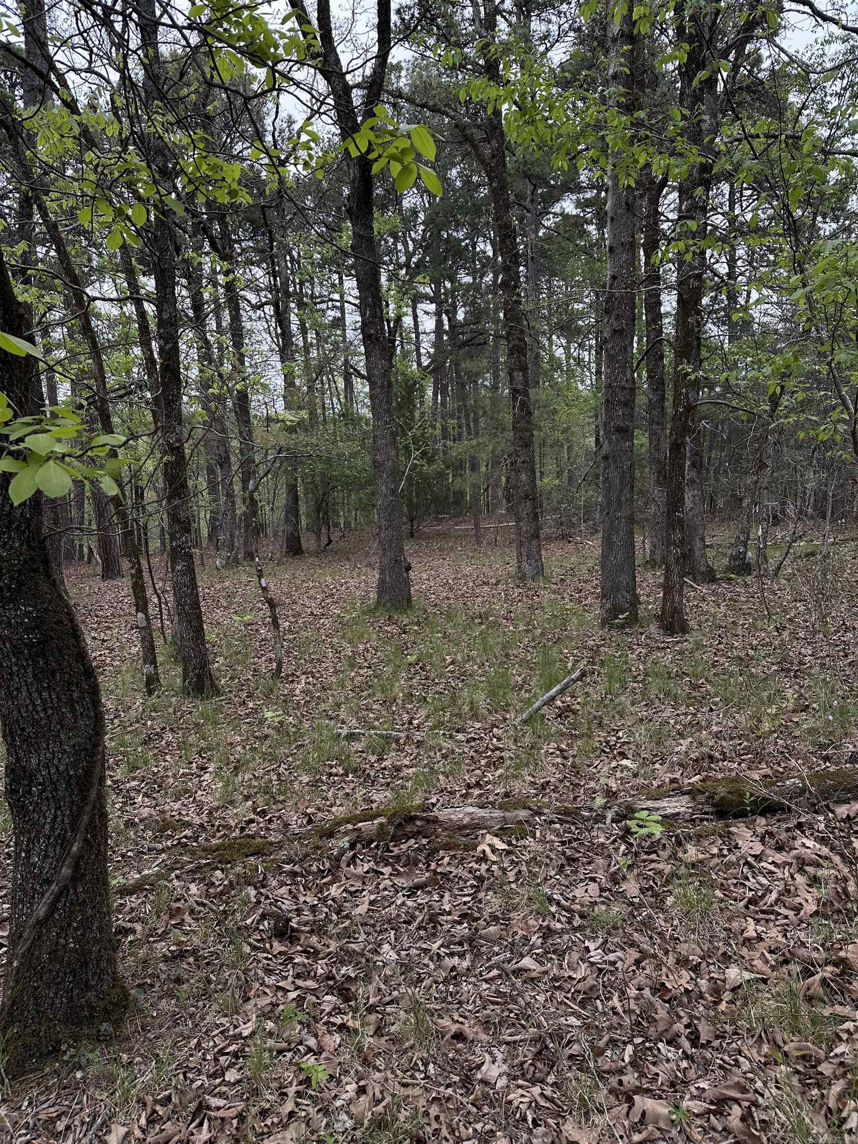 Interurban Heights - Land