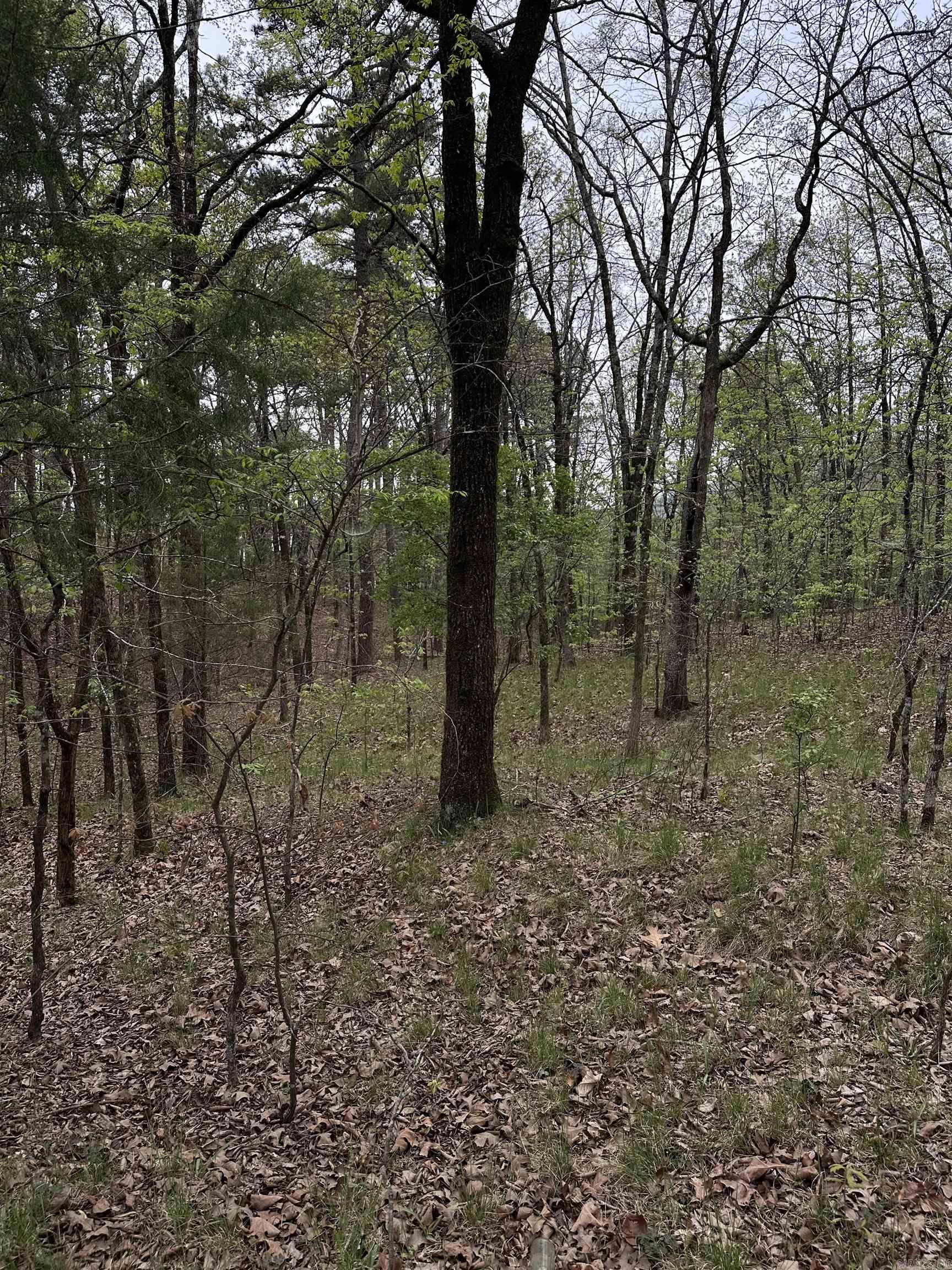 Interurban Heights - Land