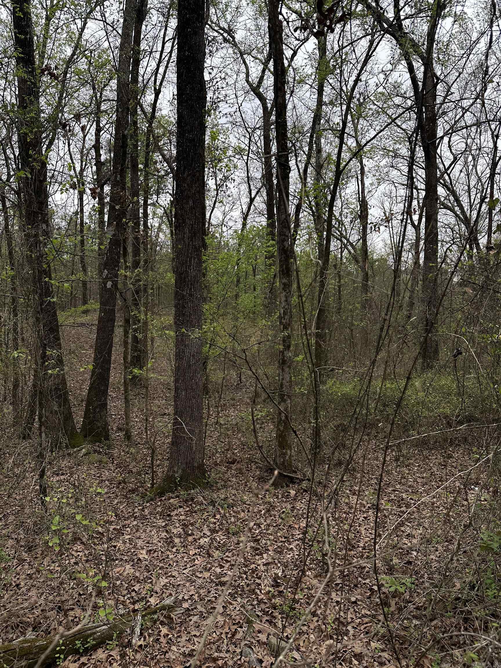 Interurban Heights - Land