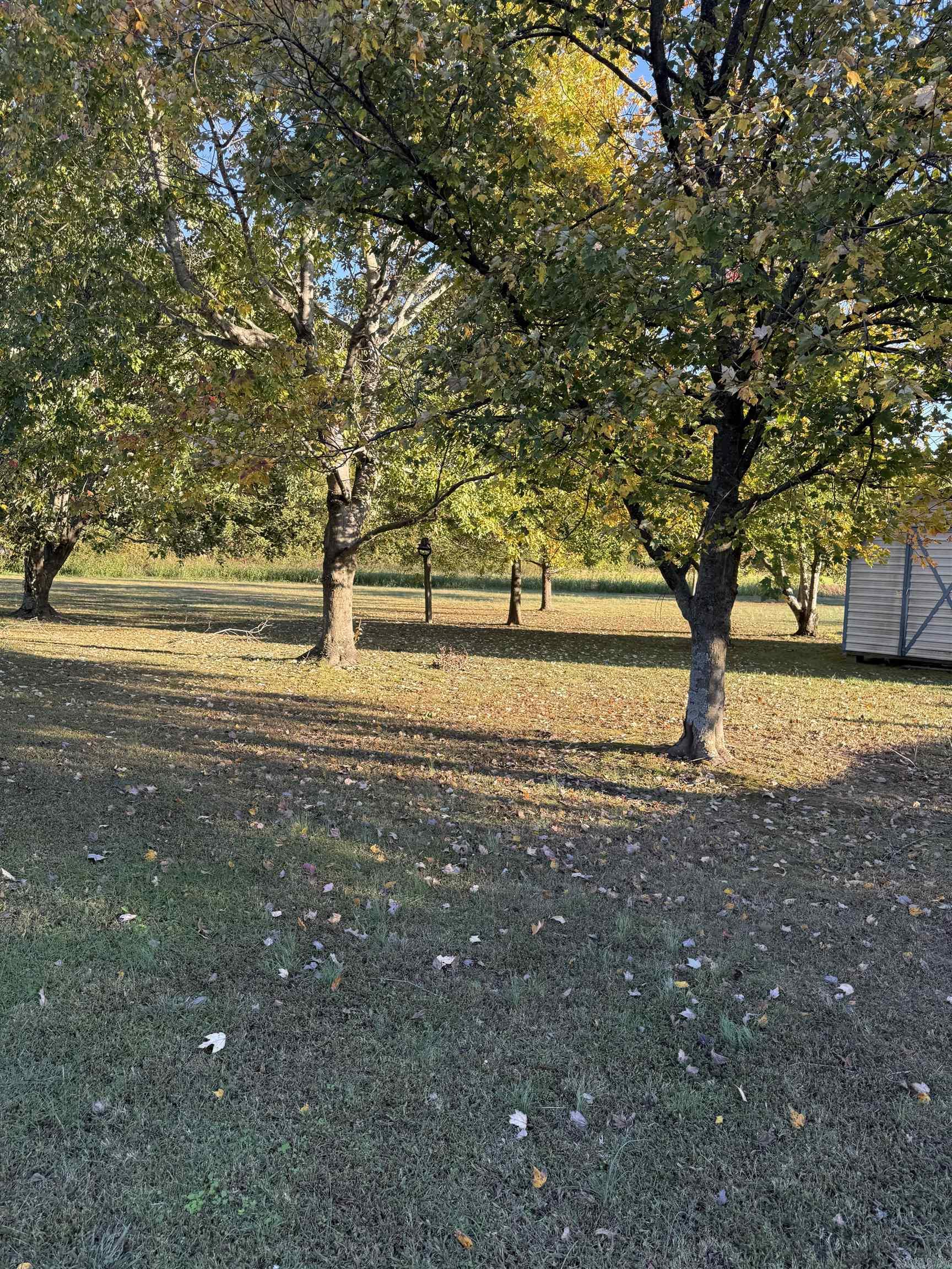 Tall Oaks - Residential