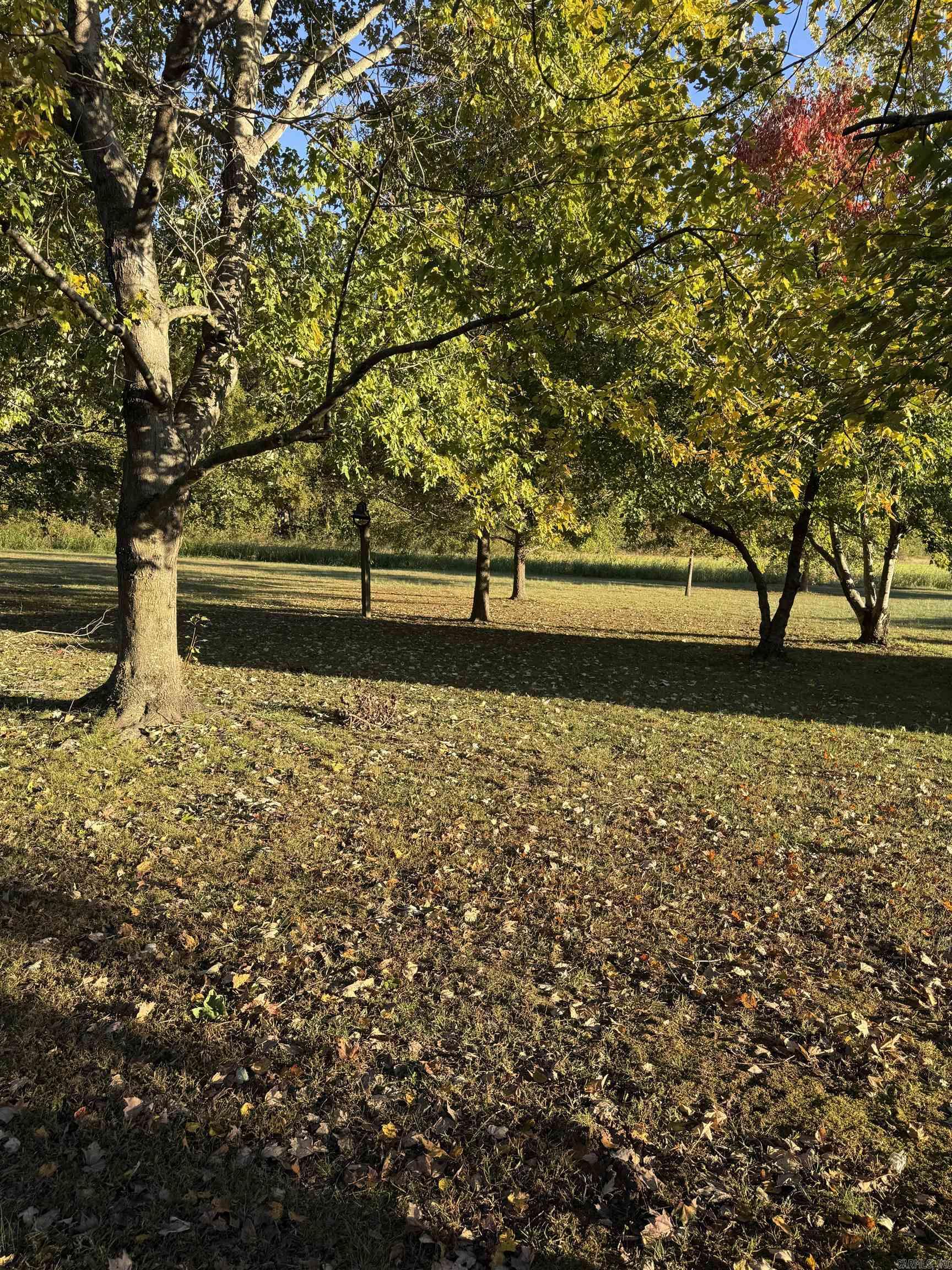 Tall Oaks - Residential