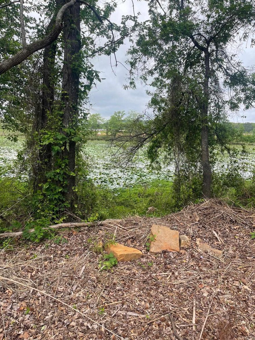 Beautiful Lakefront Lot on Lake Conway. Build your Lakefront Dream Home. Great for relaxing or fishing. Improvements on Lake Conway scheduled for completion in 2028. Close to I-40 Interstate. If Lakefront is what you're looking for, this is it!!!