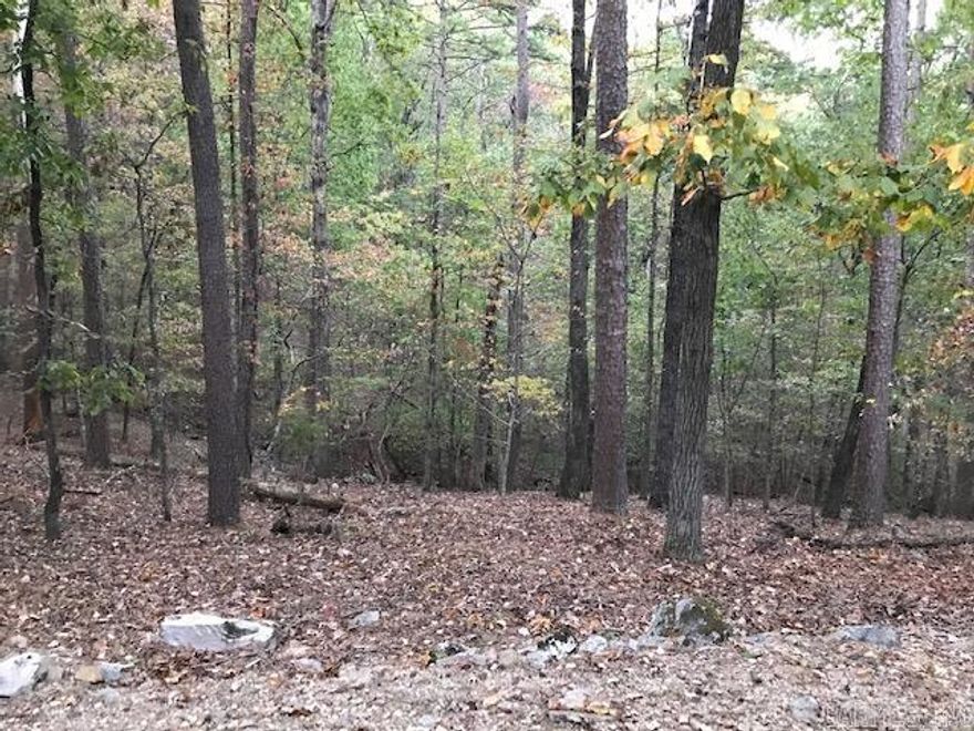 16 ACRES MOL-LEVEL-BUILDABLE BY APPT ONLY! DO NOT TRESPASS! LISTING AGENT MUST ACCOMPANY