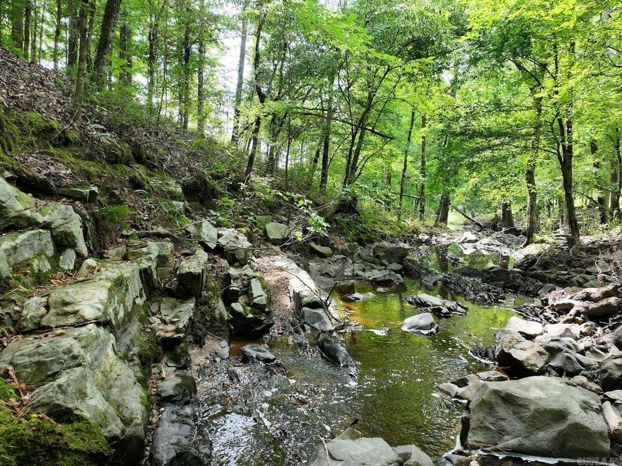 40+/- acres on Ebenezer Road offering a unique combination of natural beauty and potential. This property includes an unfinished cabin ready for someone to complete, a creek running through the land, and well-maintained trails perfect for outdoor exploration. Located just minutes from Lake Greeson, Glenwood, and the Caddo River, it provides easy access to recreation and convenience. Whether you're seeking a place to build, invest, or enjoy as a retreat, this land holds plenty of opportunity.