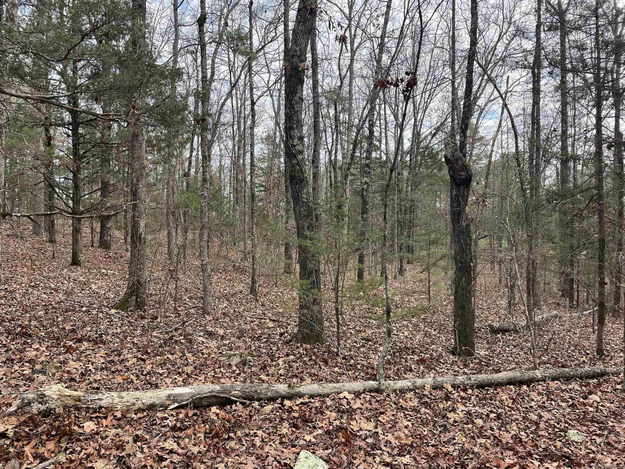 Not in Subdivision - Land