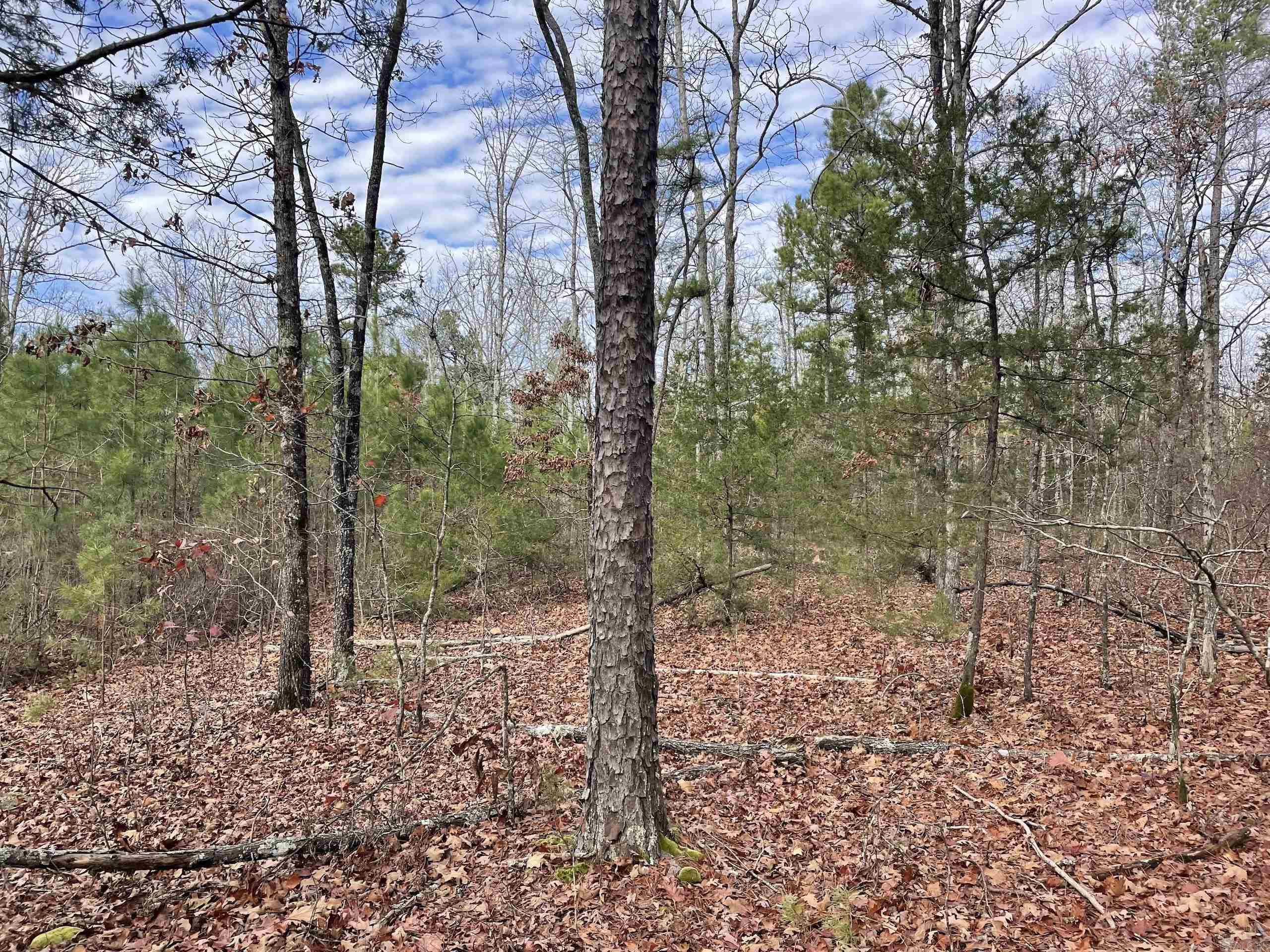 Not in Subdivision - Land