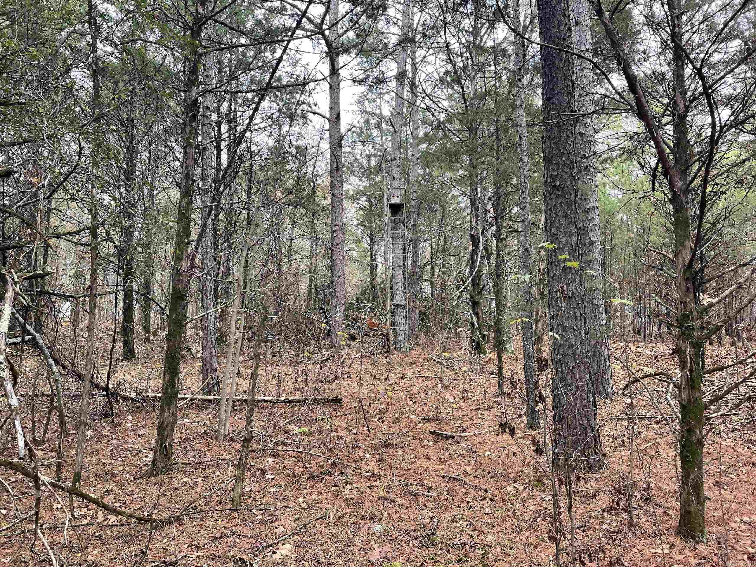 Not in Subdivision - Land