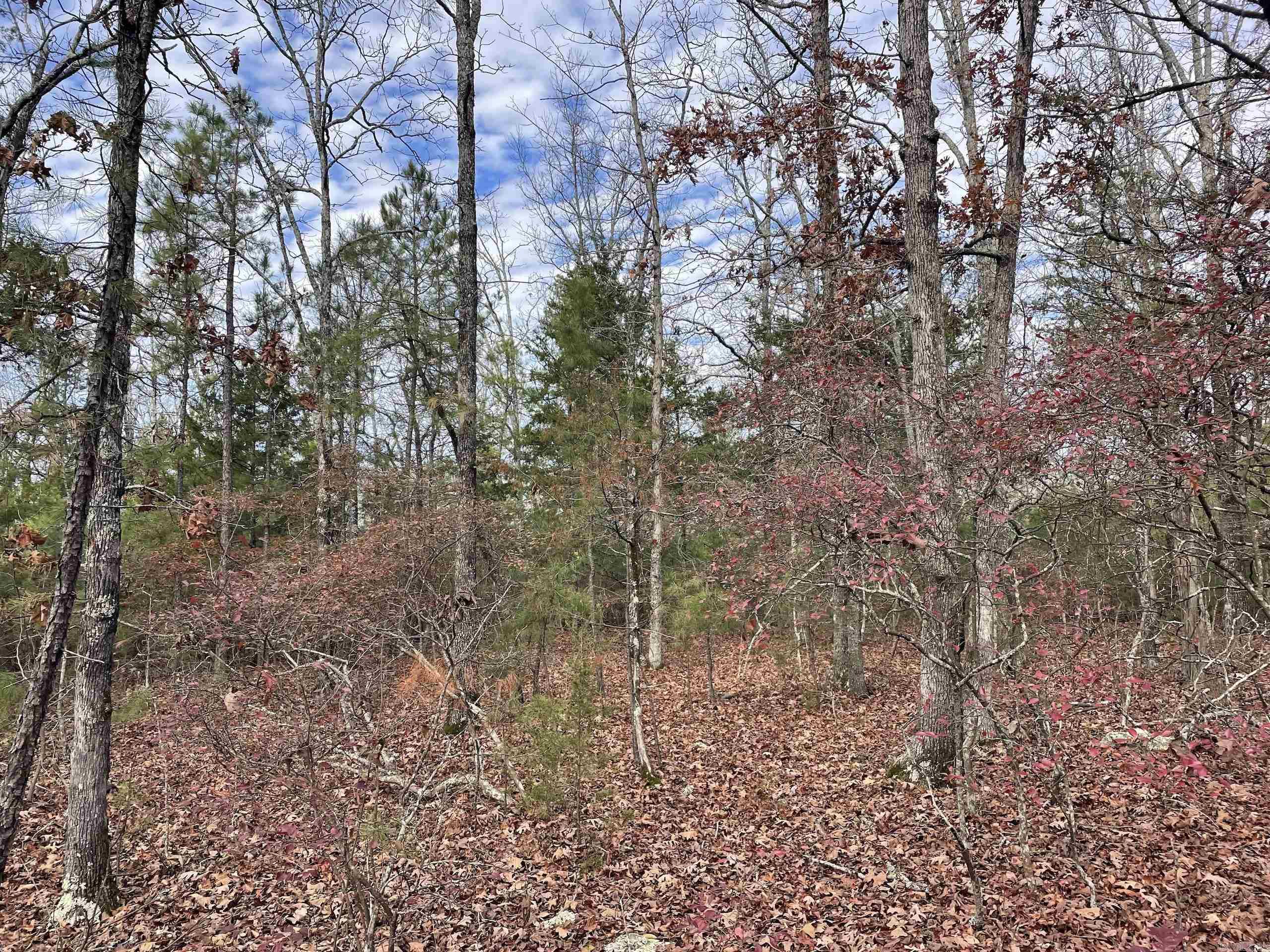 Not in Subdivision - Land