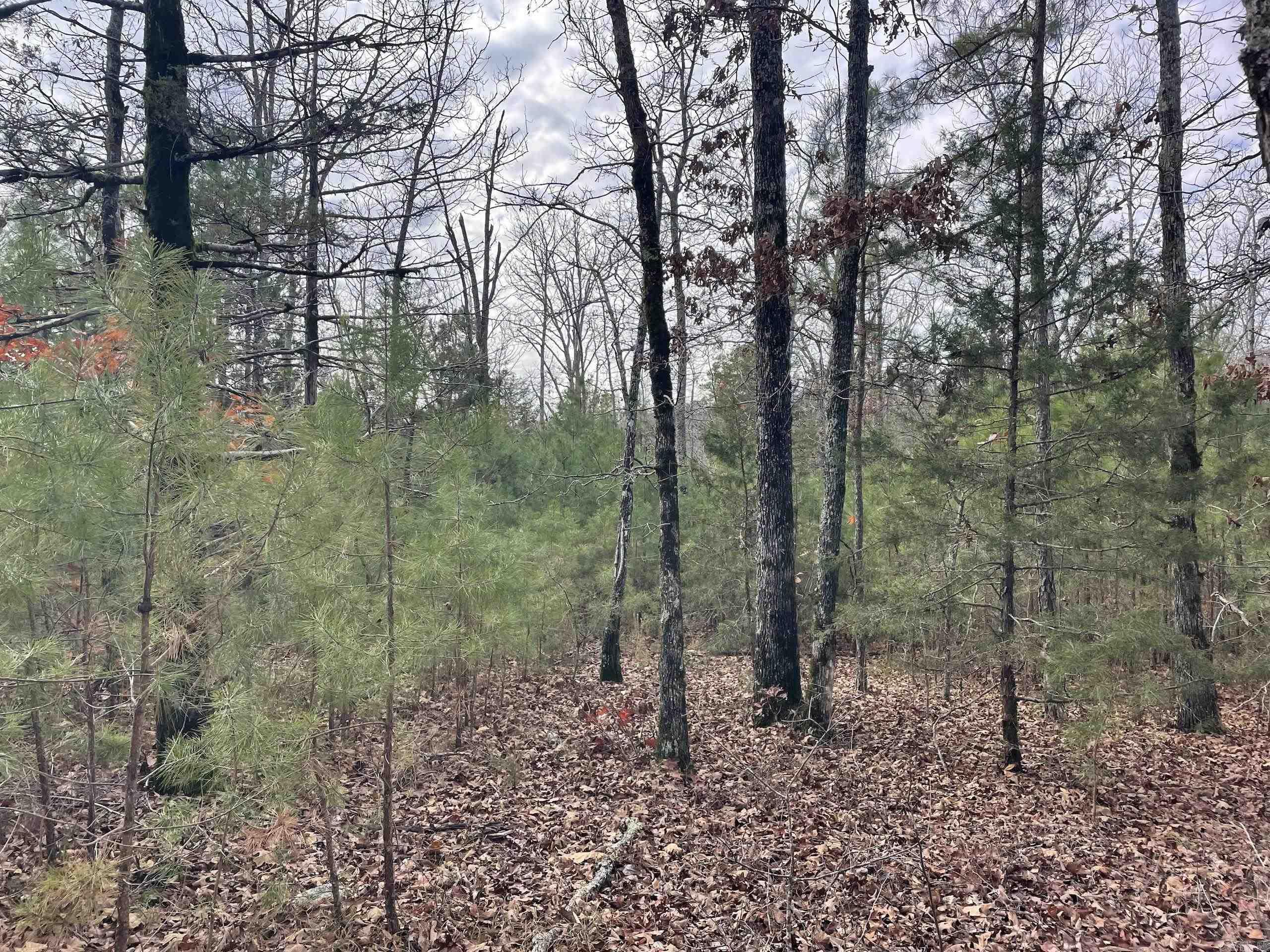 Not in Subdivision - Land