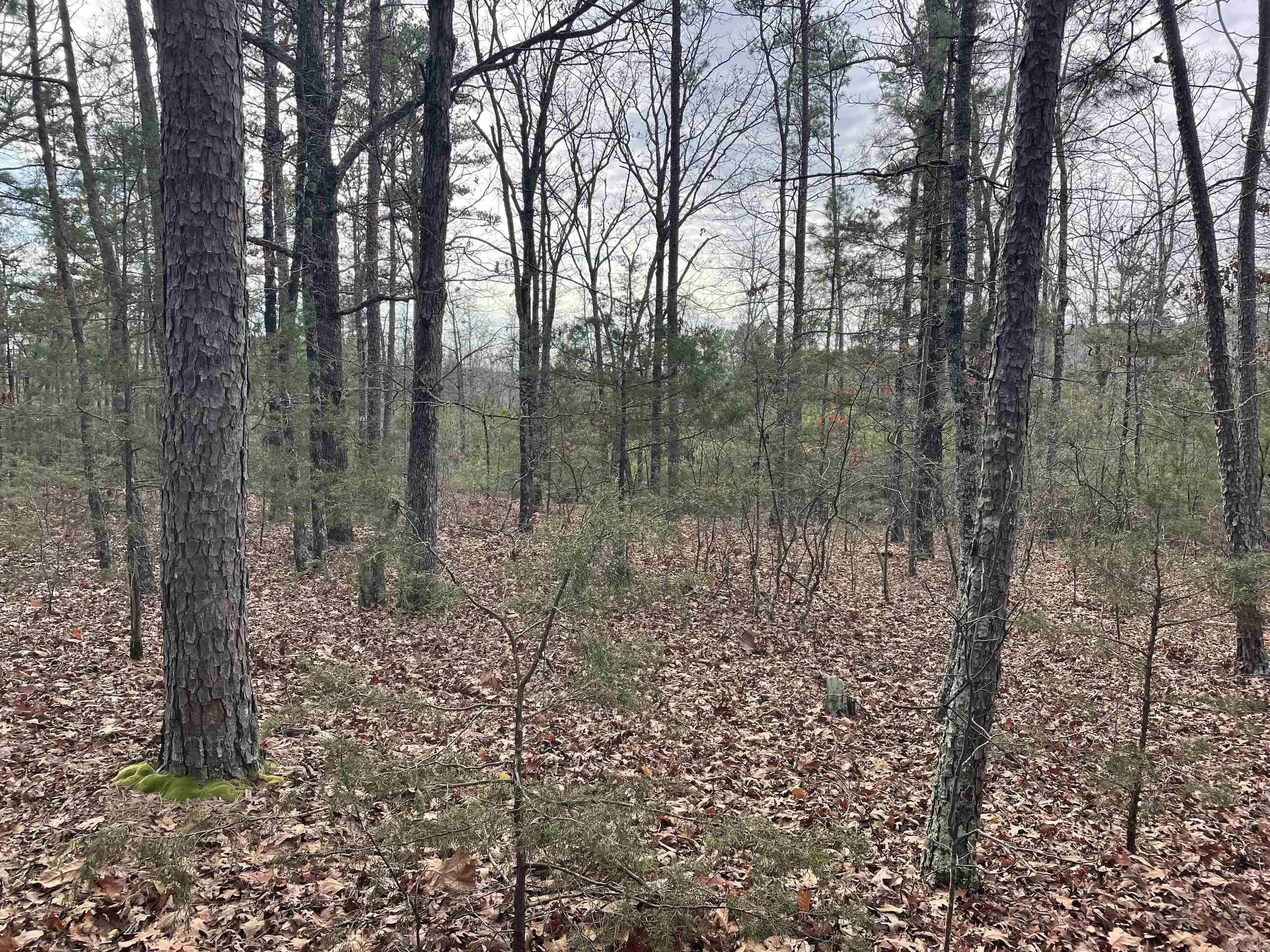 Not in Subdivision - Land