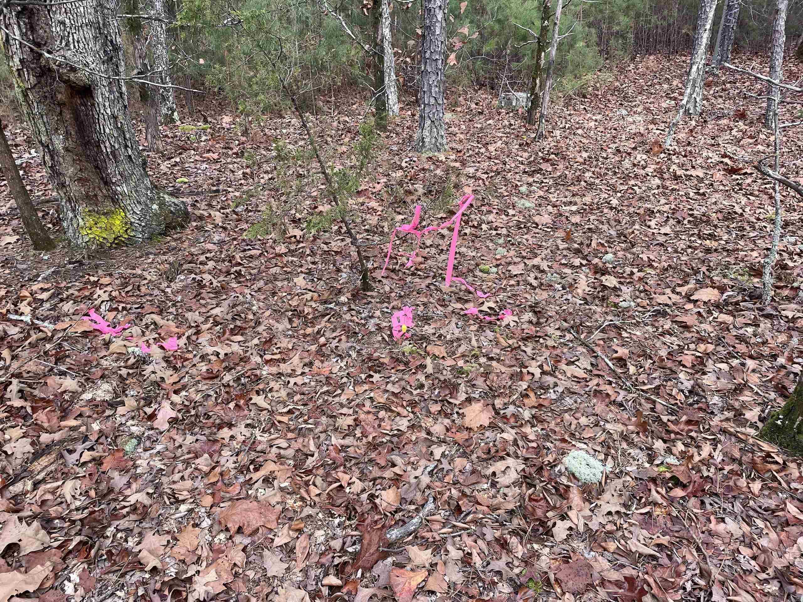 Not in Subdivision - Land