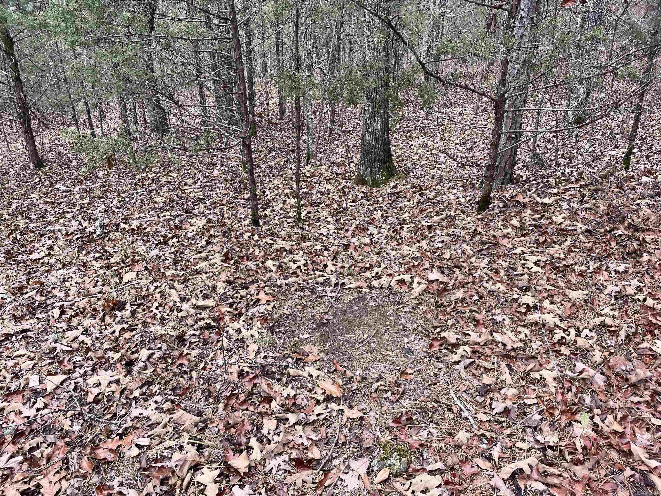 Not in Subdivision - Land