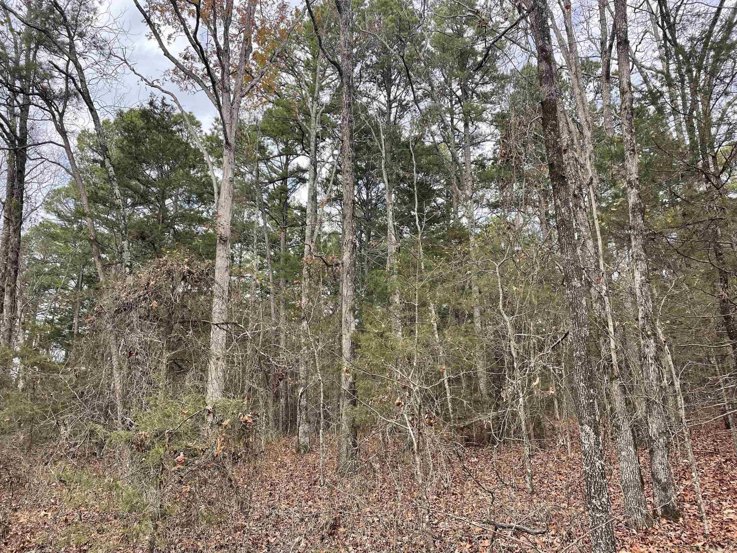 Not in Subdivision - Land