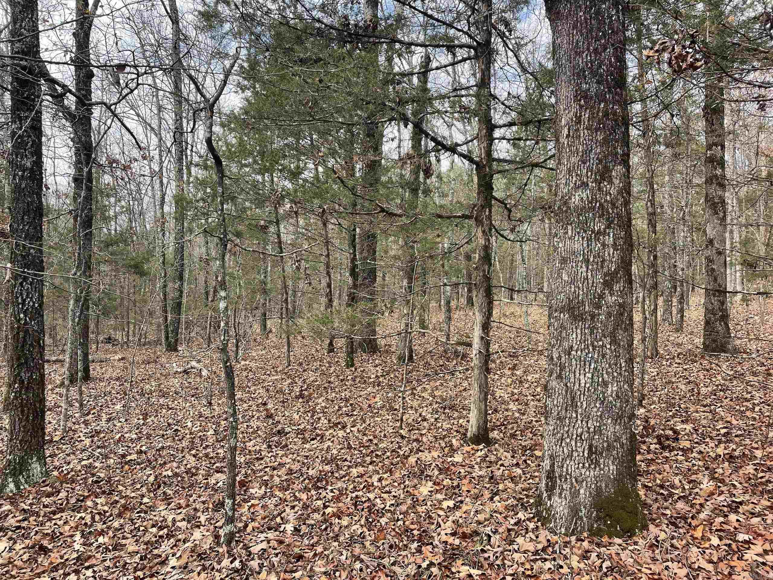 Not in Subdivision - Land