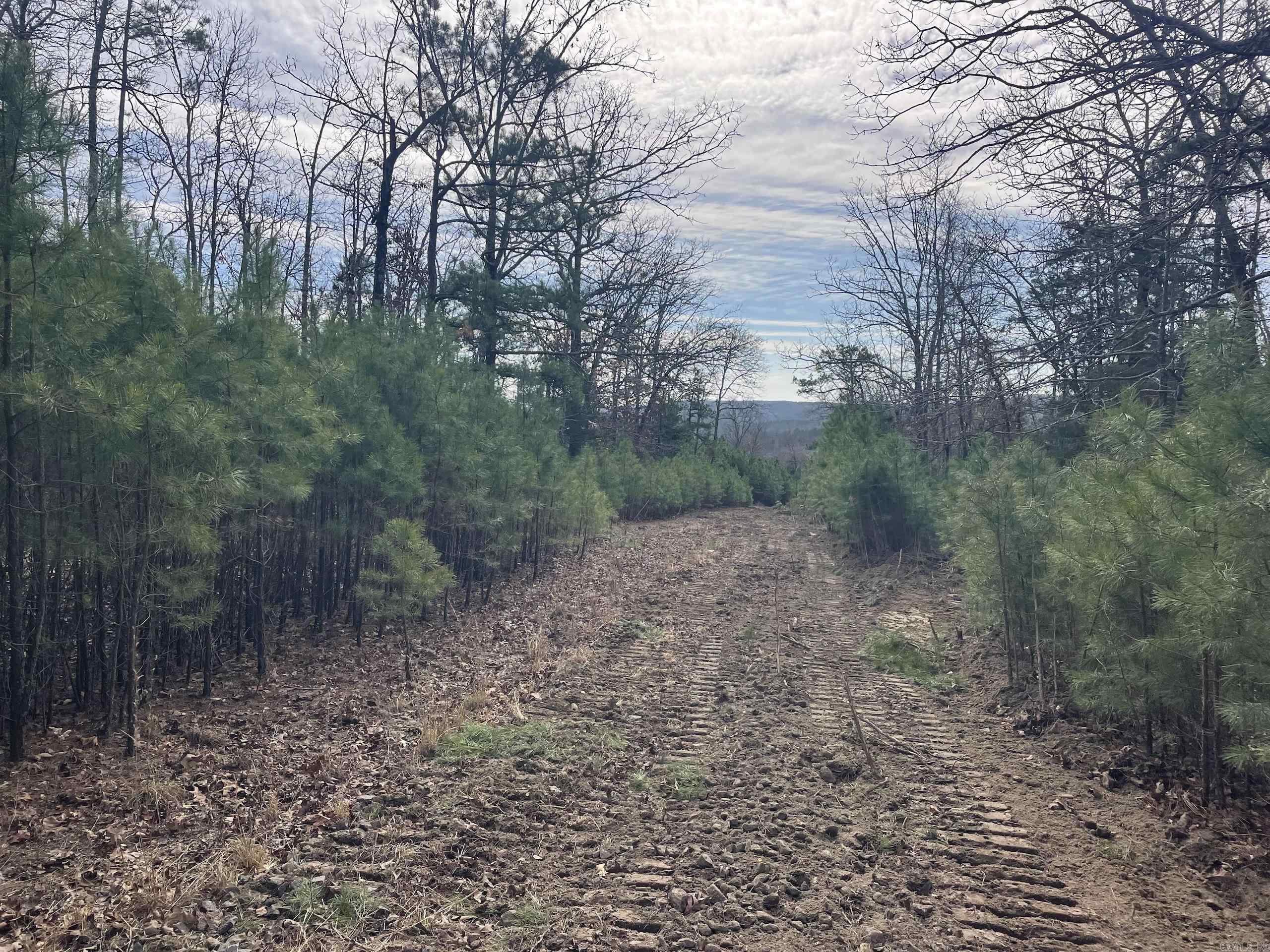 Not in Subdivision - Land