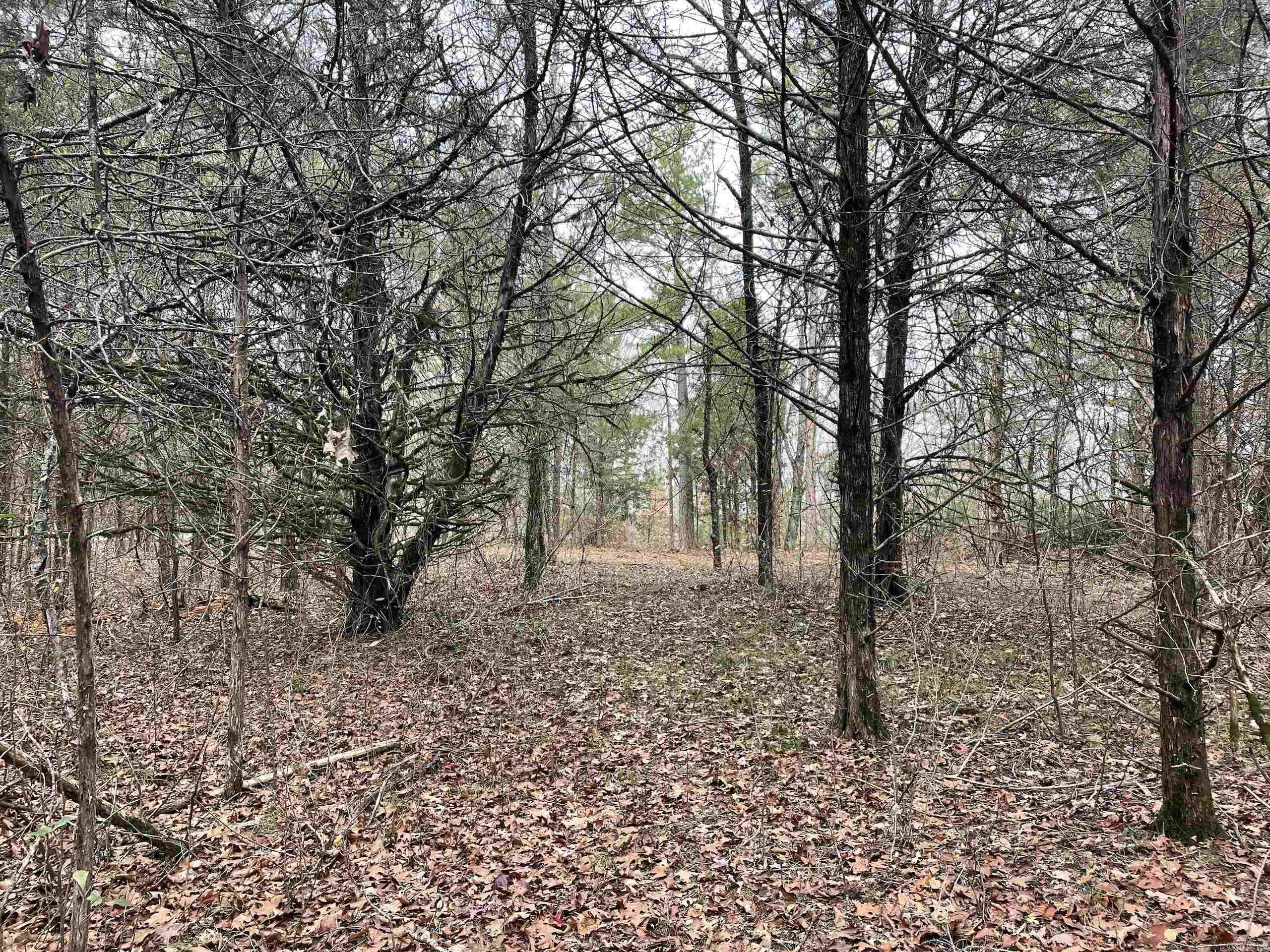 Not in Subdivision - Land