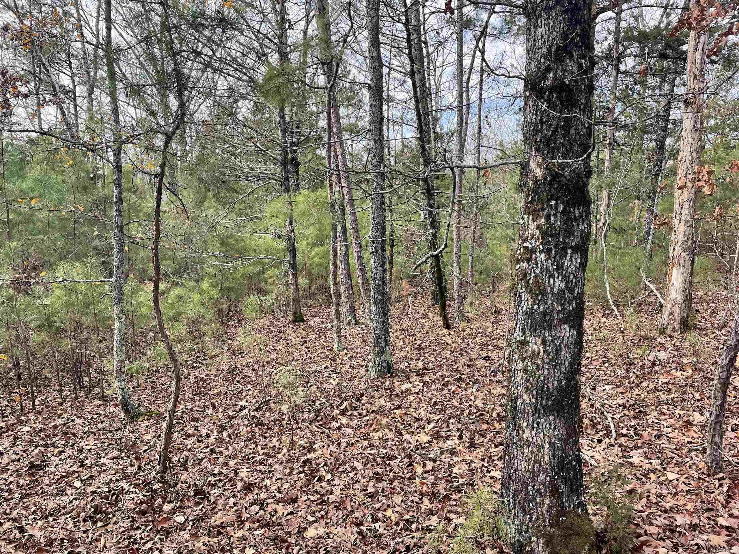 Not in Subdivision - Land