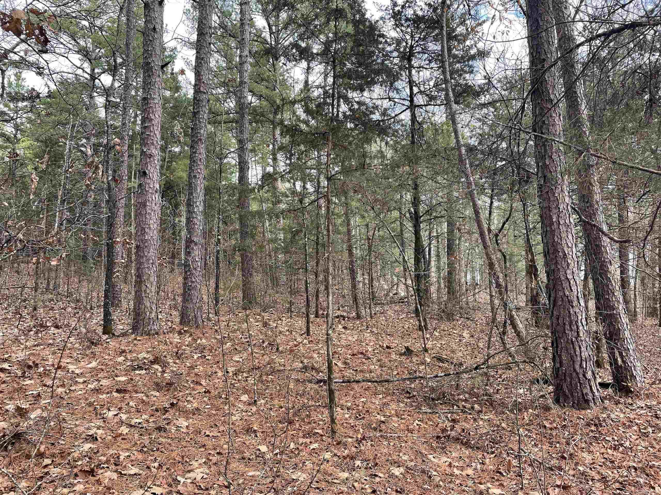 Not in Subdivision - Land