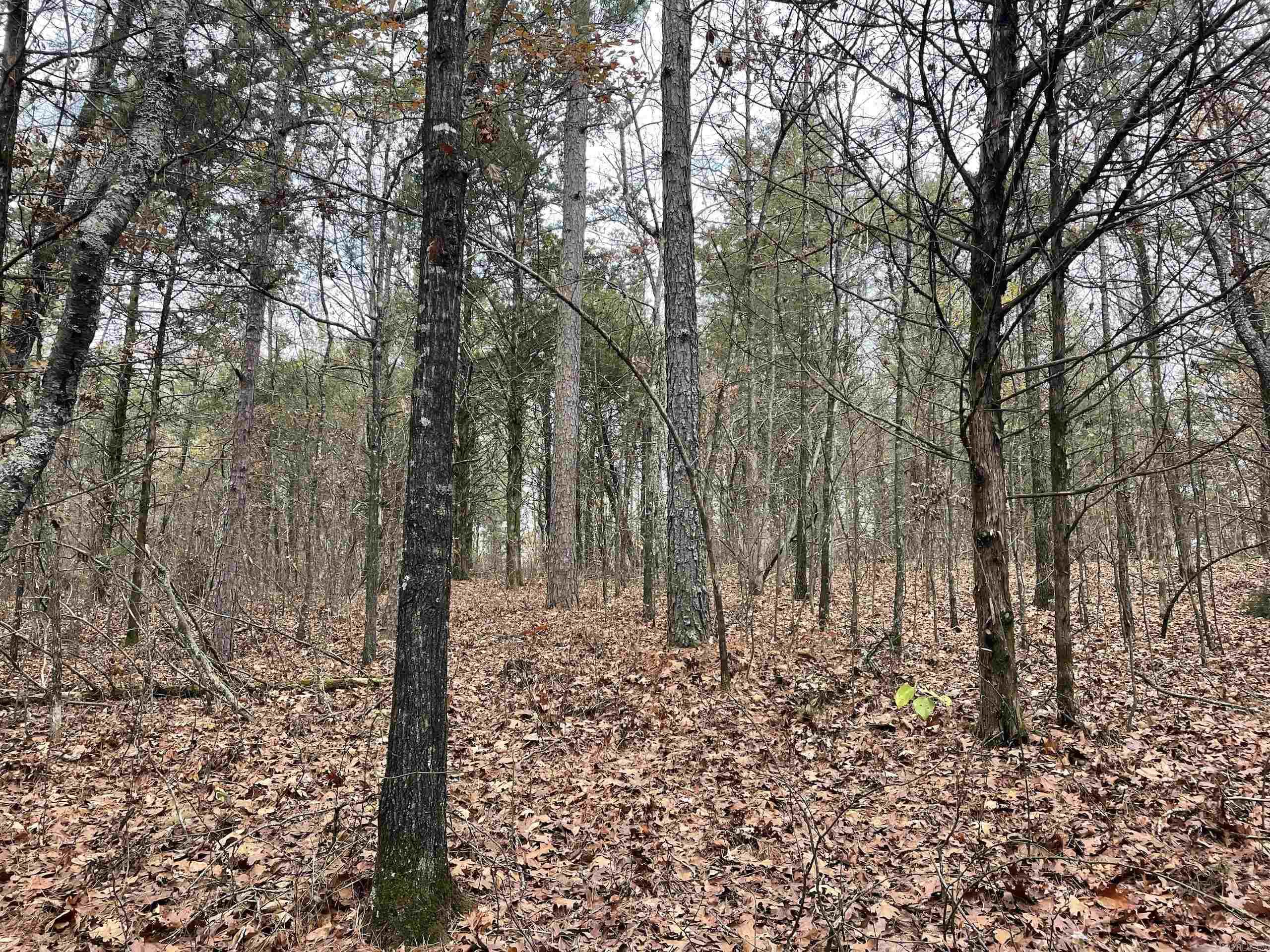 Not in Subdivision - Land