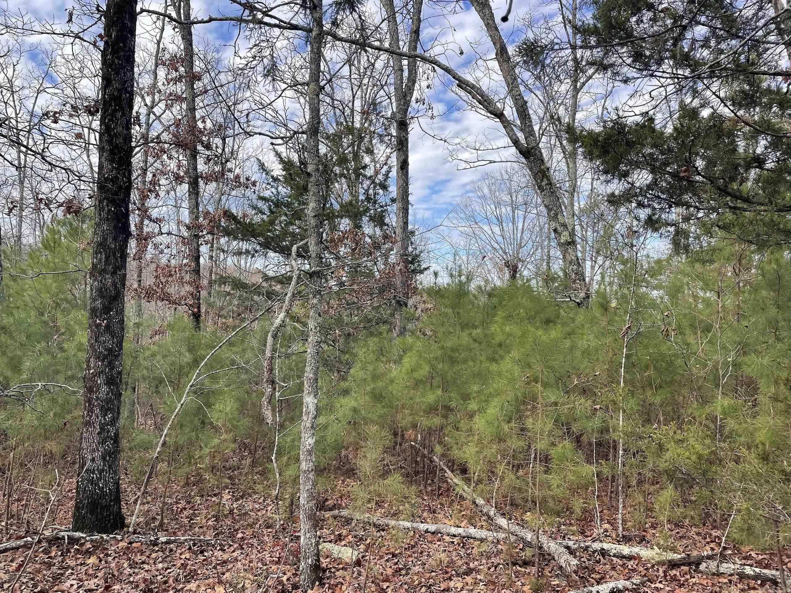 Not in Subdivision - Land