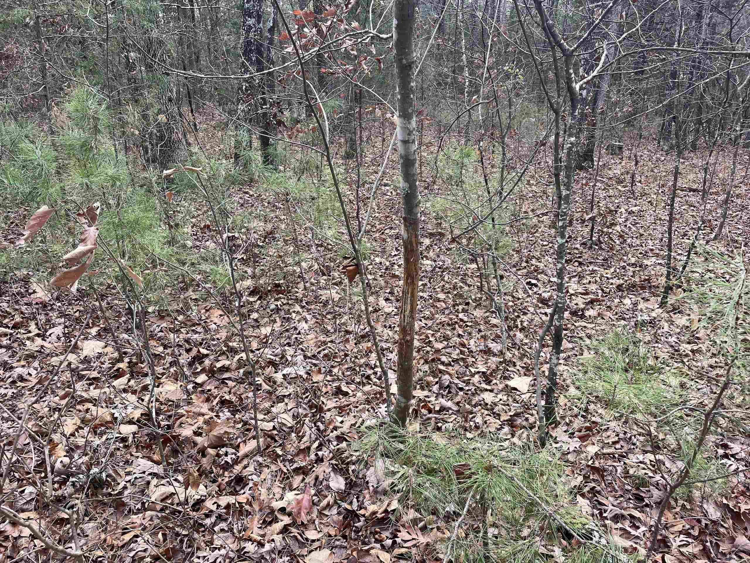 Not in Subdivision - Land