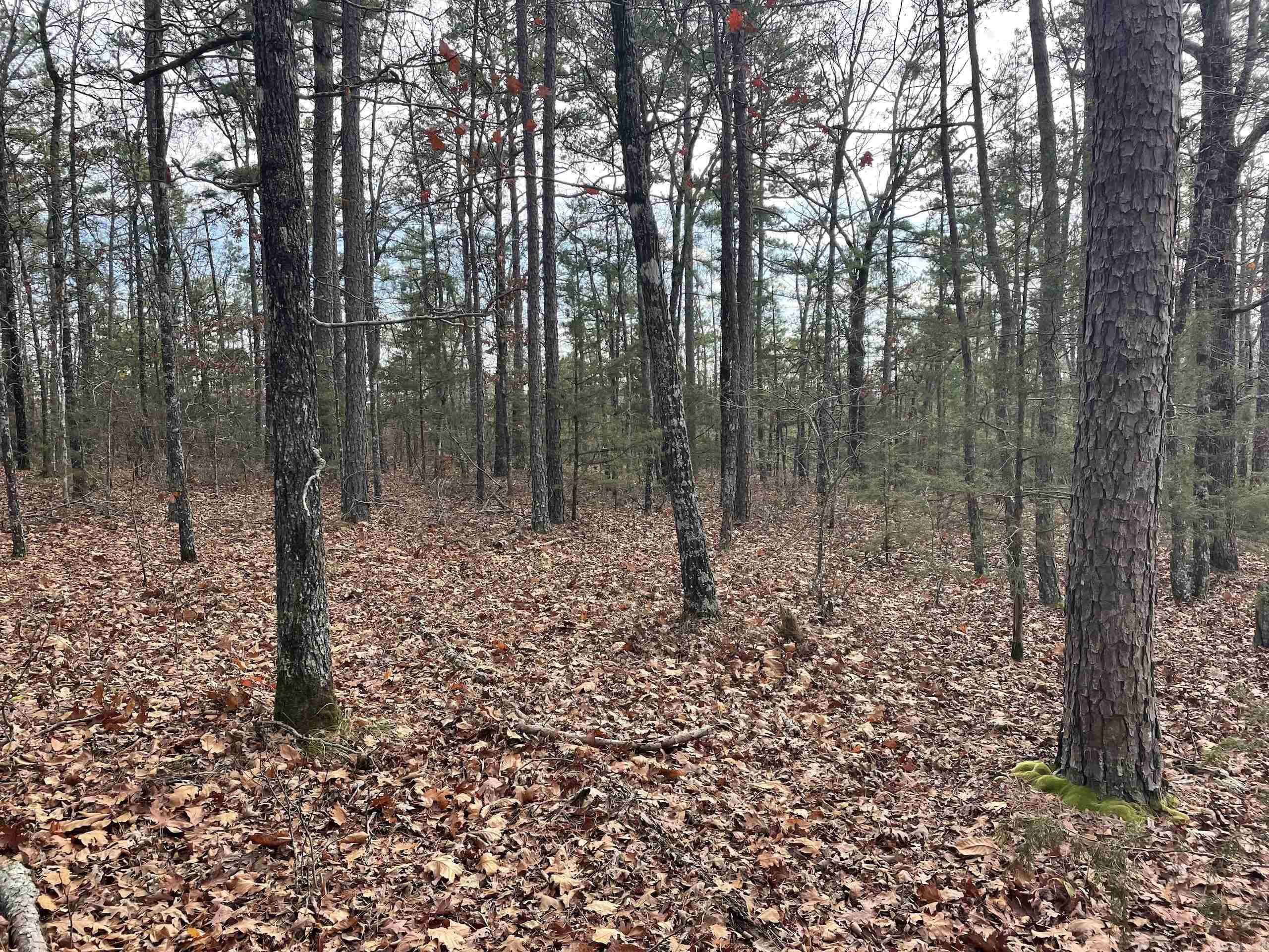 Not in Subdivision - Land