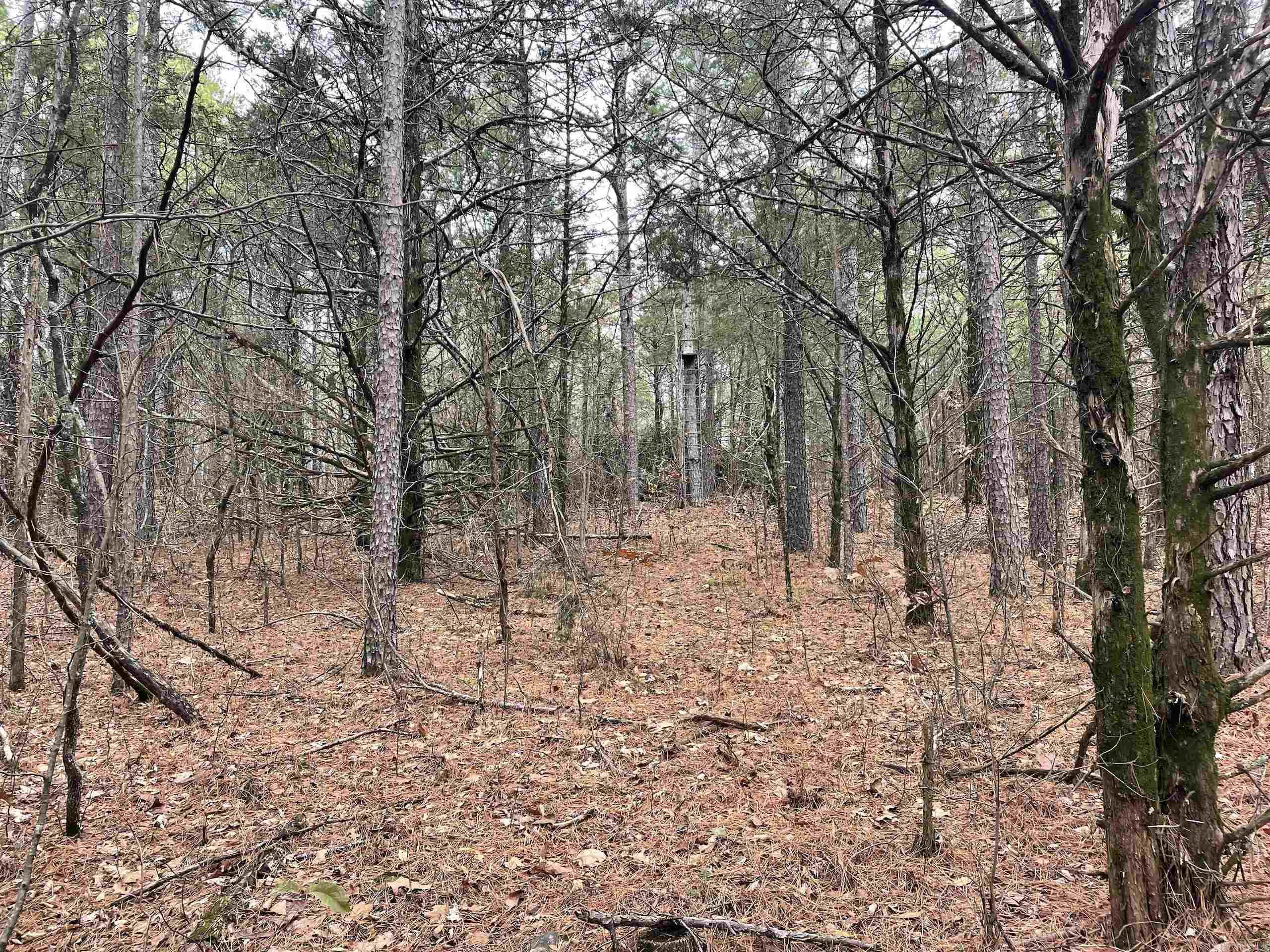 Not in Subdivision - Land