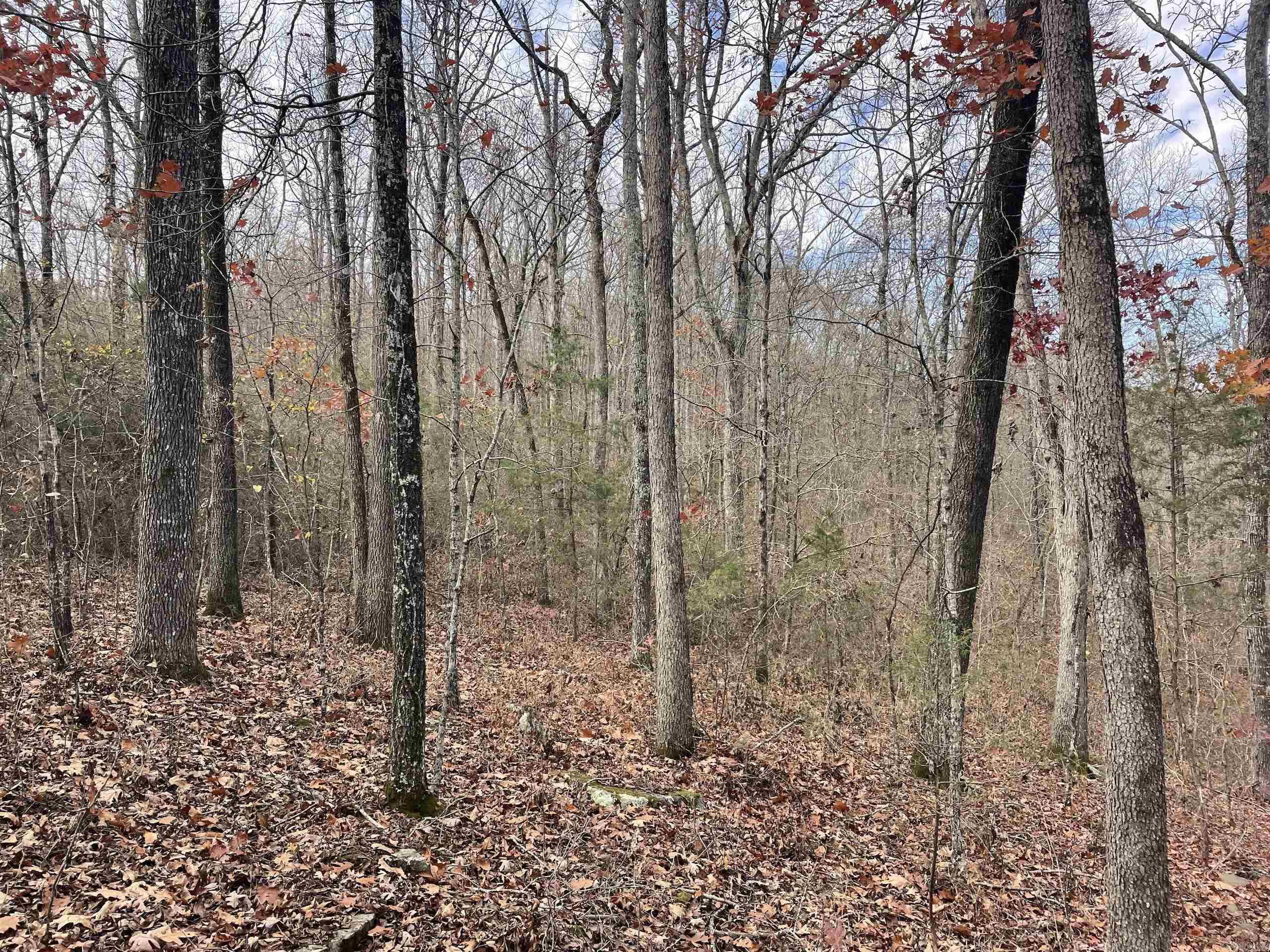 Not in Subdivision - Land