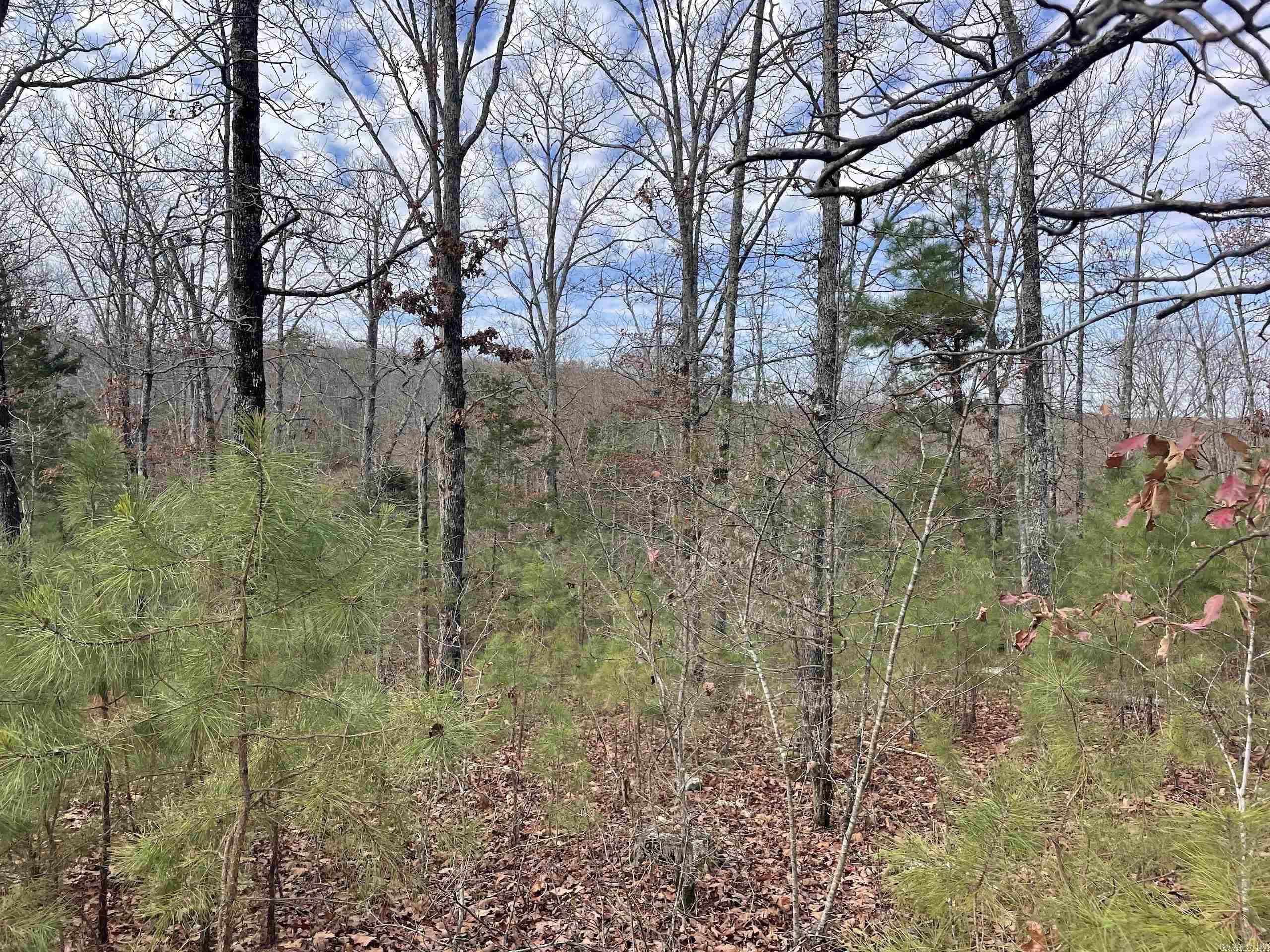 Not in Subdivision - Land