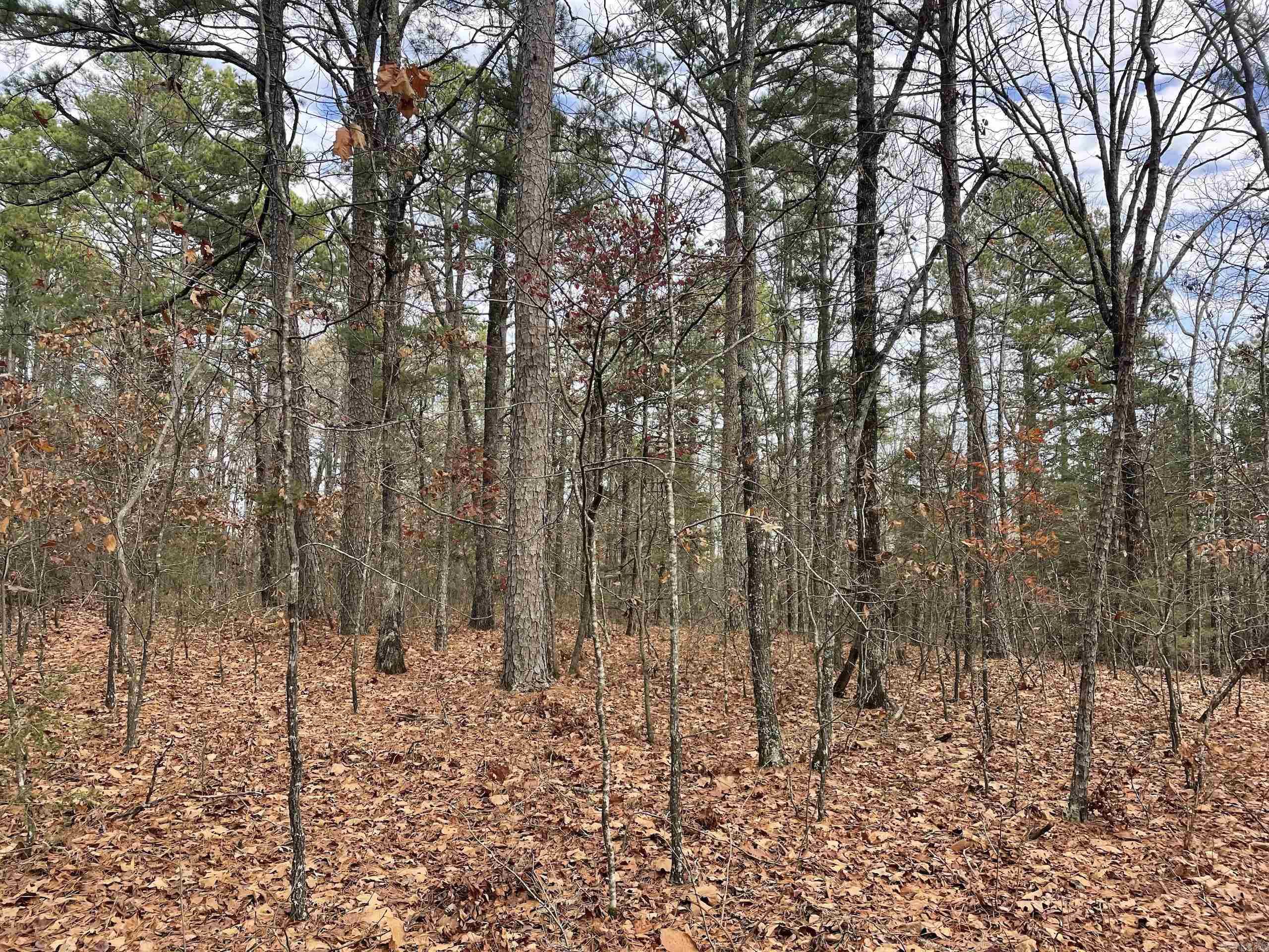 Not in Subdivision - Land