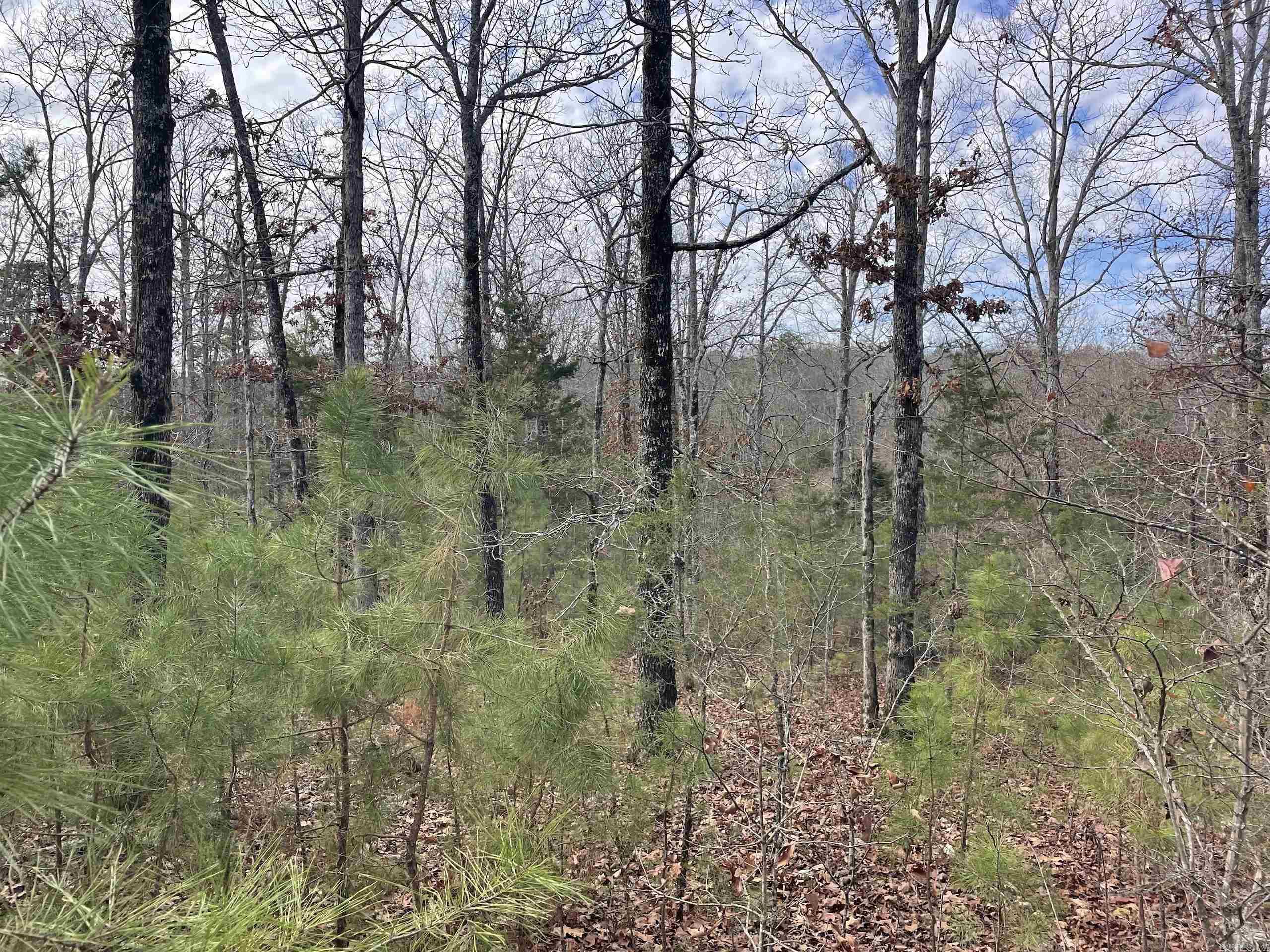 Not in Subdivision - Land