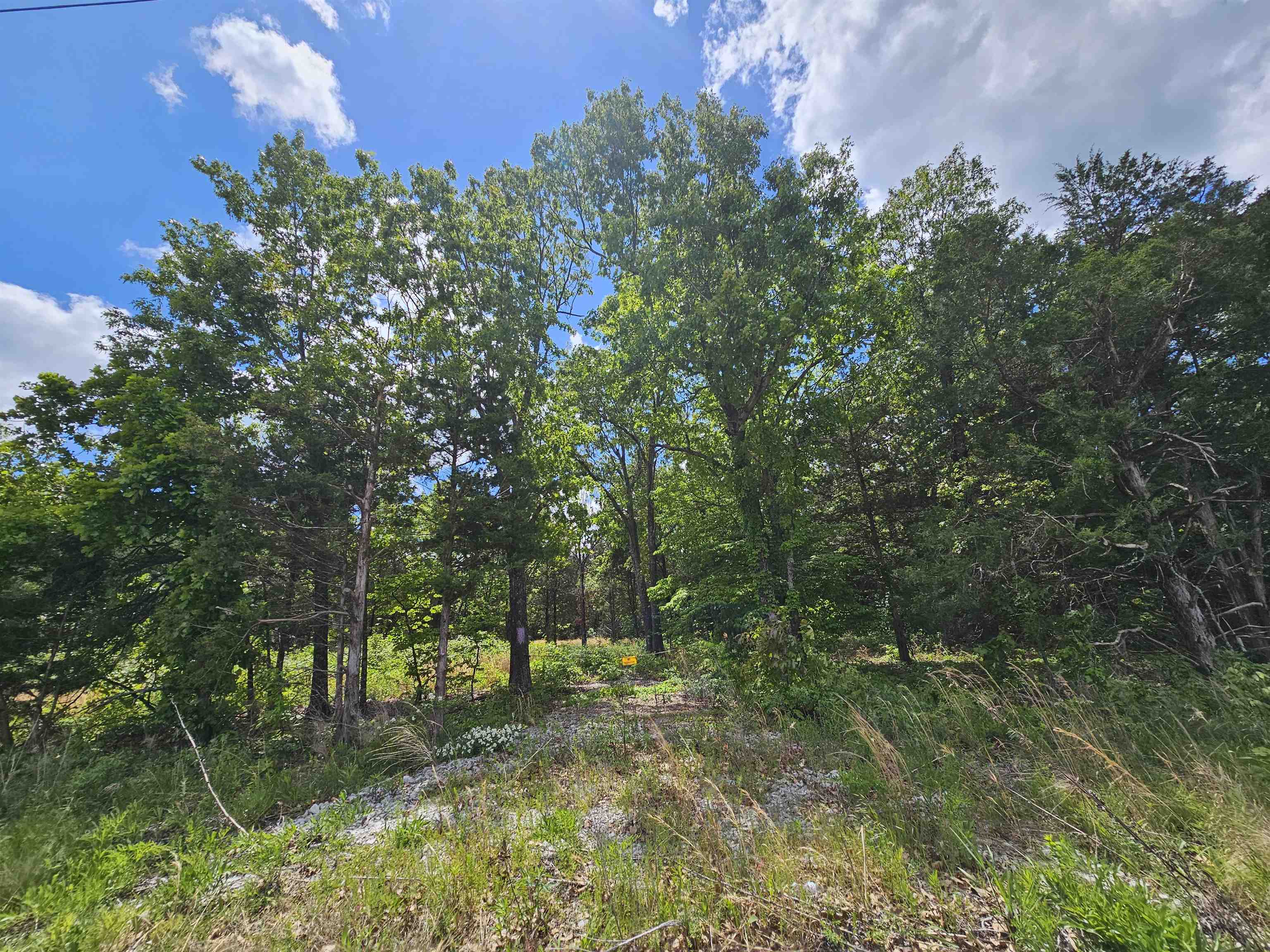 This land is a wonderful opportunity for a growing business. With a great location on the road, and a nice paved driveway, this would be ideal for a business to expand and build a new location. Electricity and Water both run right through the property for easy access. Call to schedule your viewing today!
