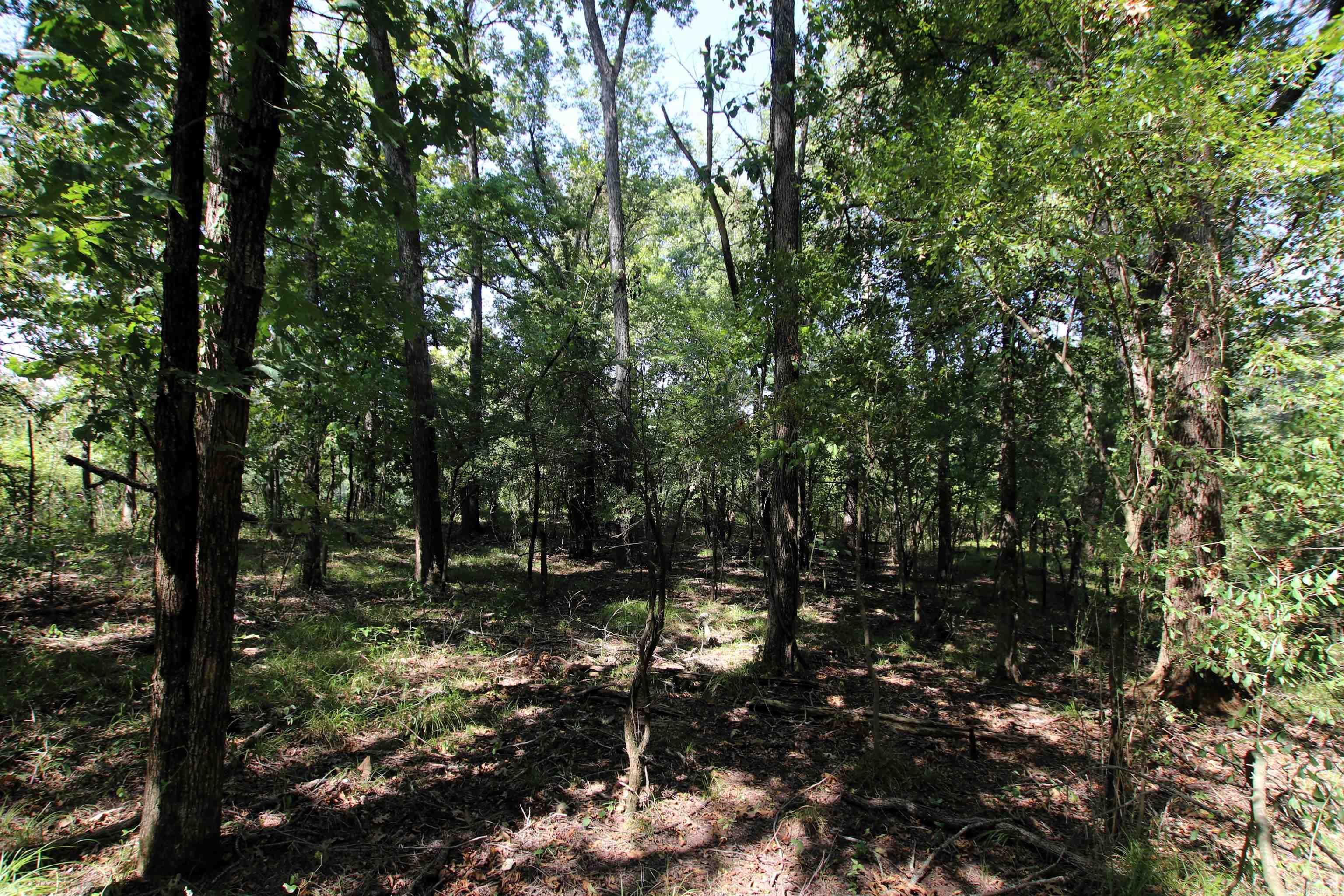 Not in Subdivision - Land