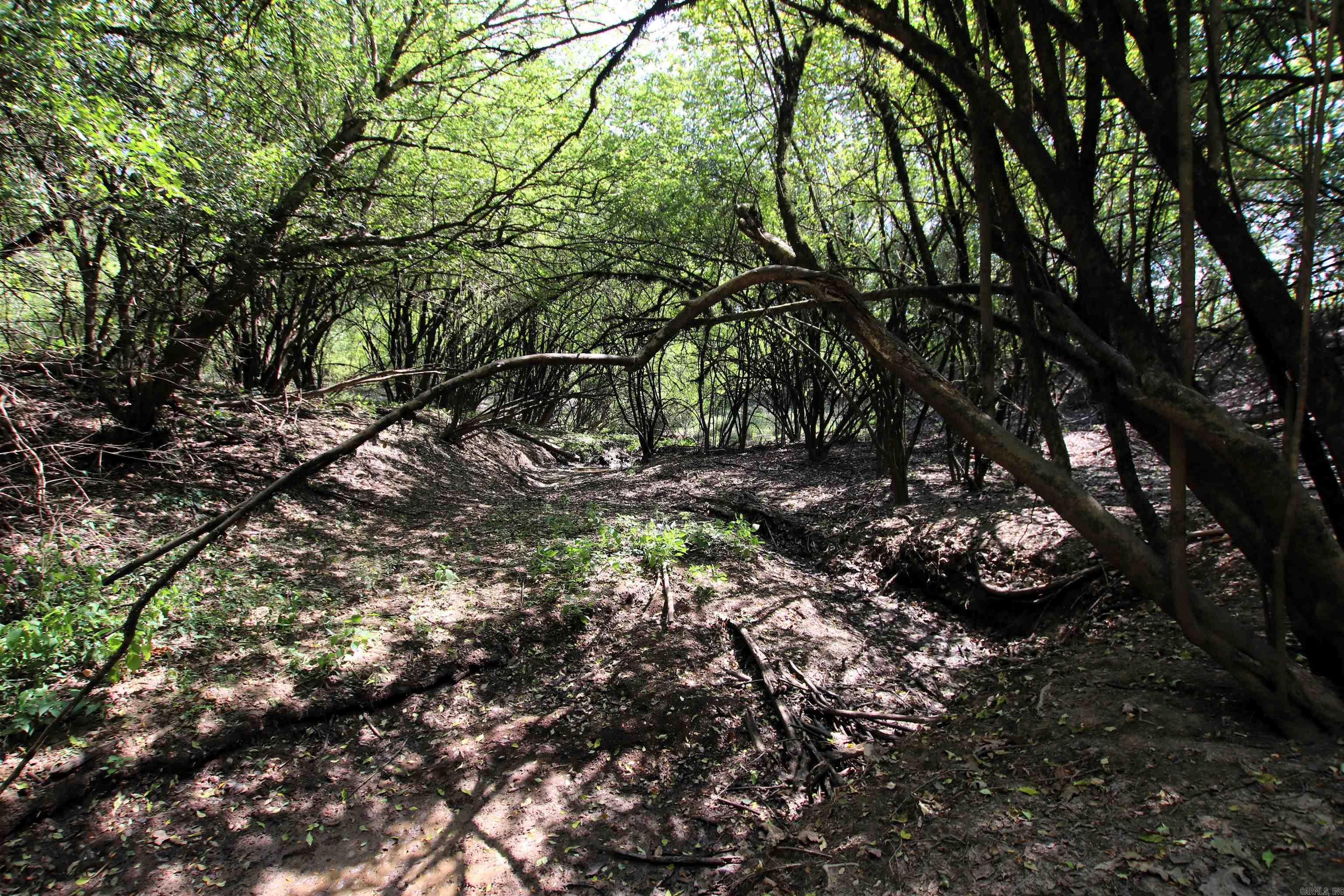 Not in Subdivision - Land