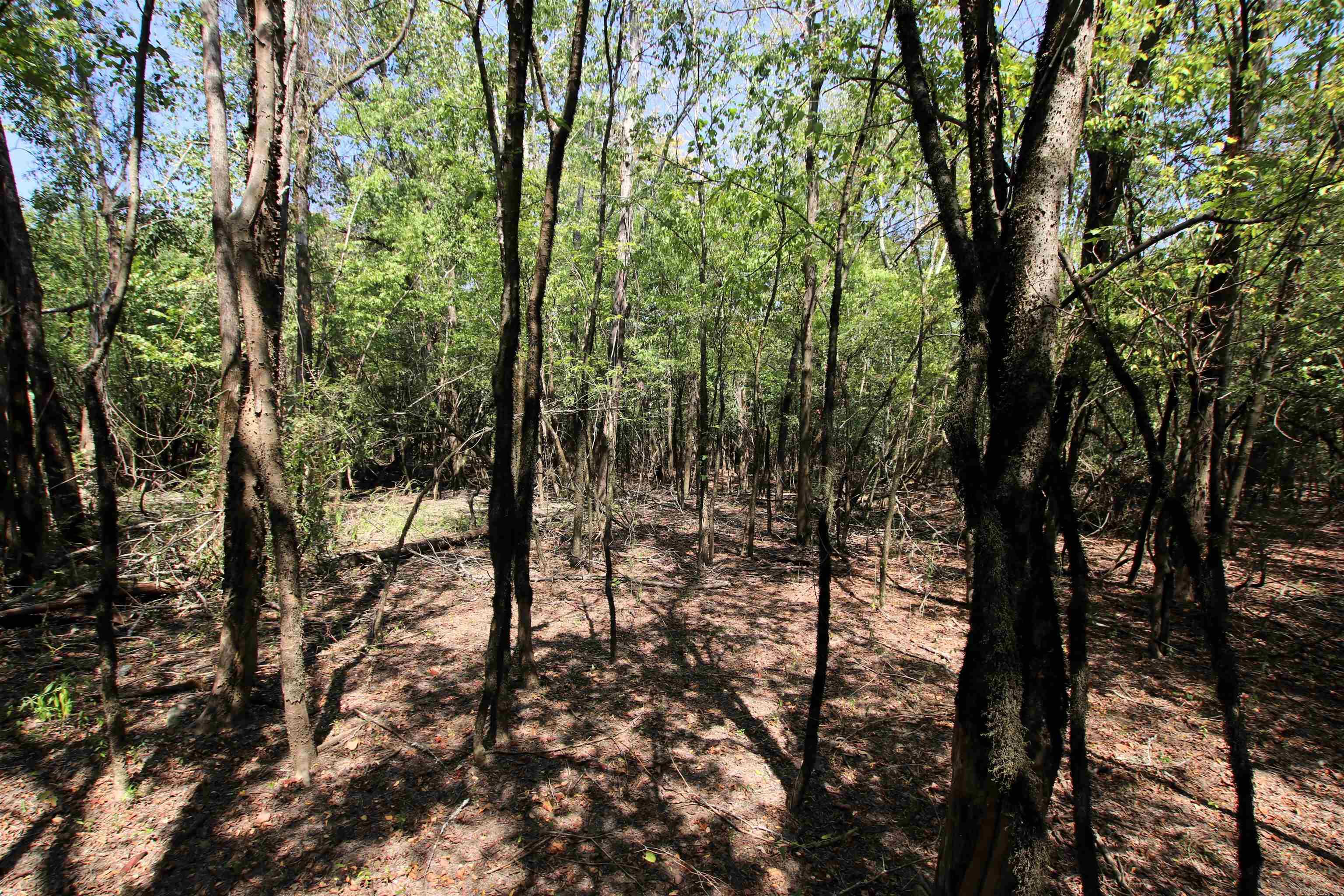 Not in Subdivision - Land