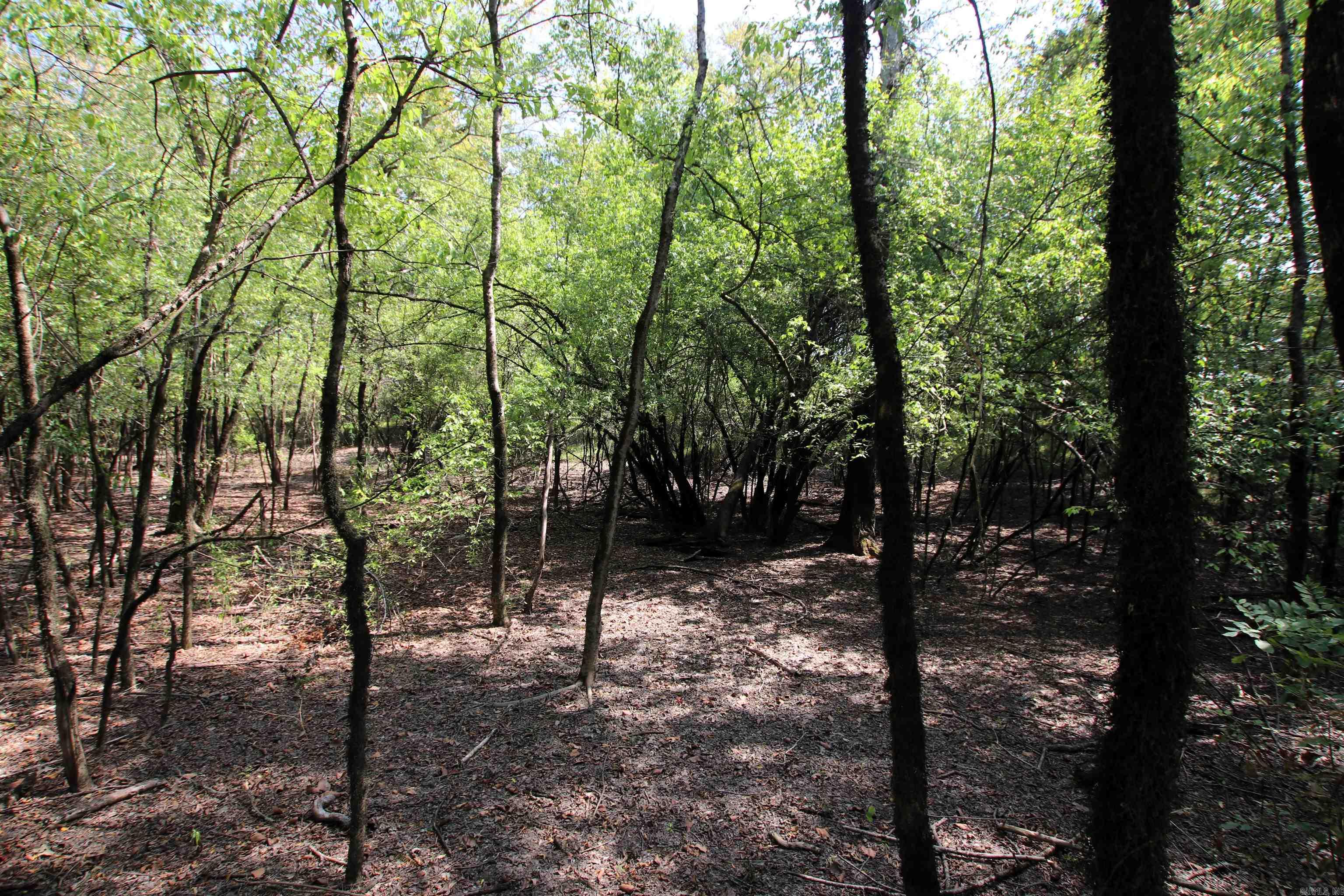 Not in Subdivision - Land