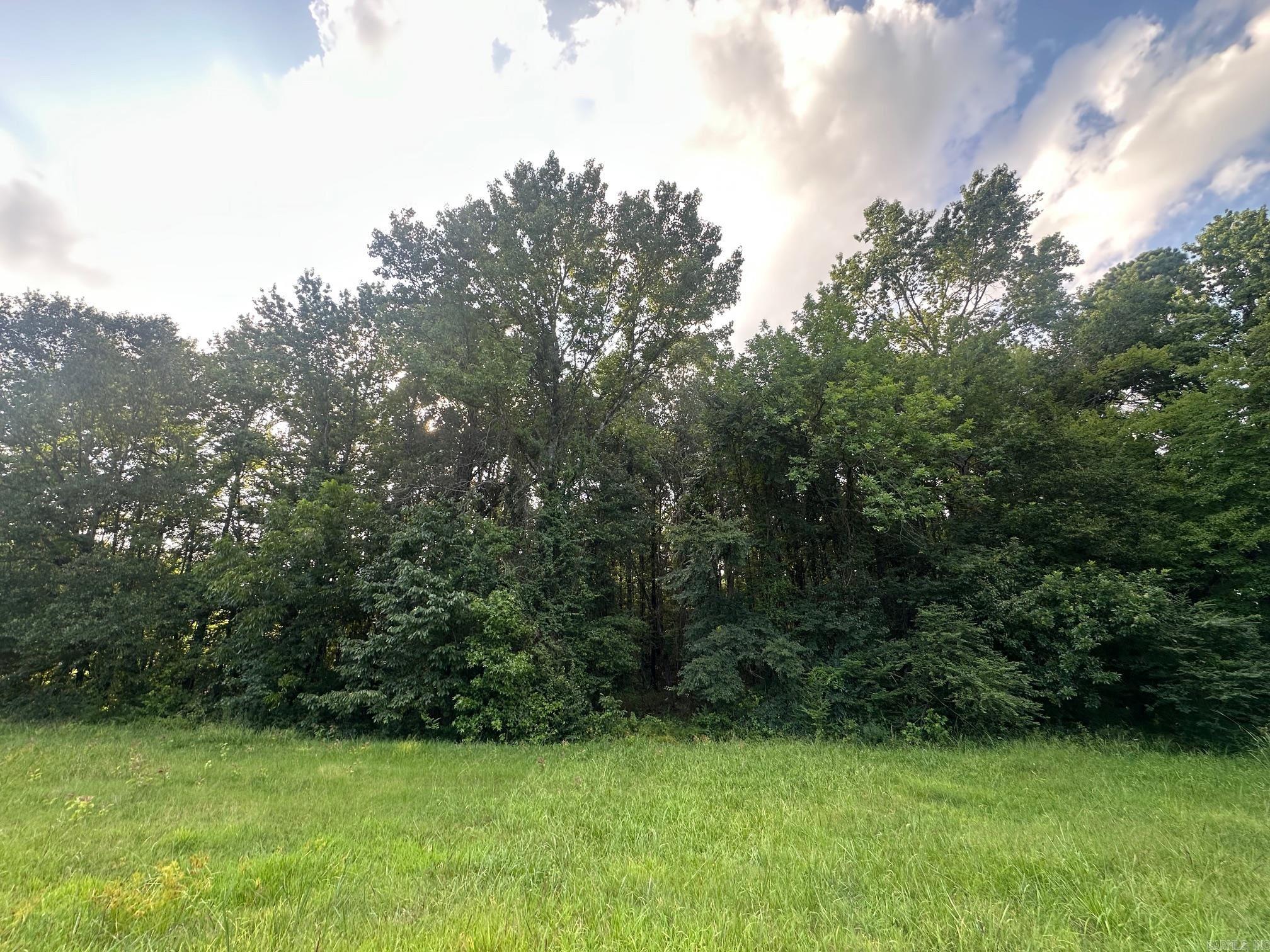 Property fronts Hwy 367 and is located among several commercial properties and is 1/2 mile from Walmart Supercenter. Visible from Hwy 367 and 67/167. Great location to put in a billboard or a business. Partially located in a flood plain.