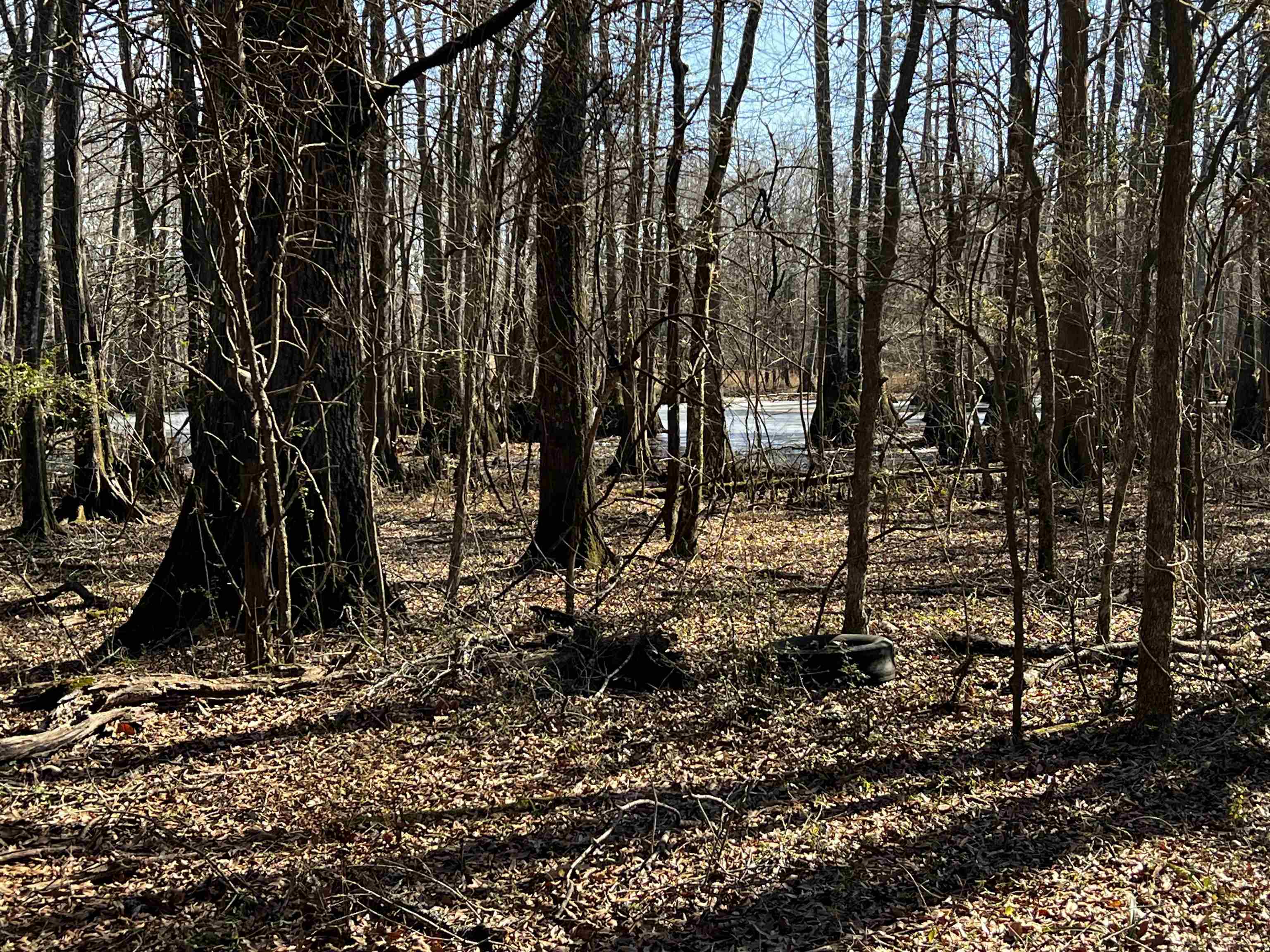 Metes & Bounds - Land