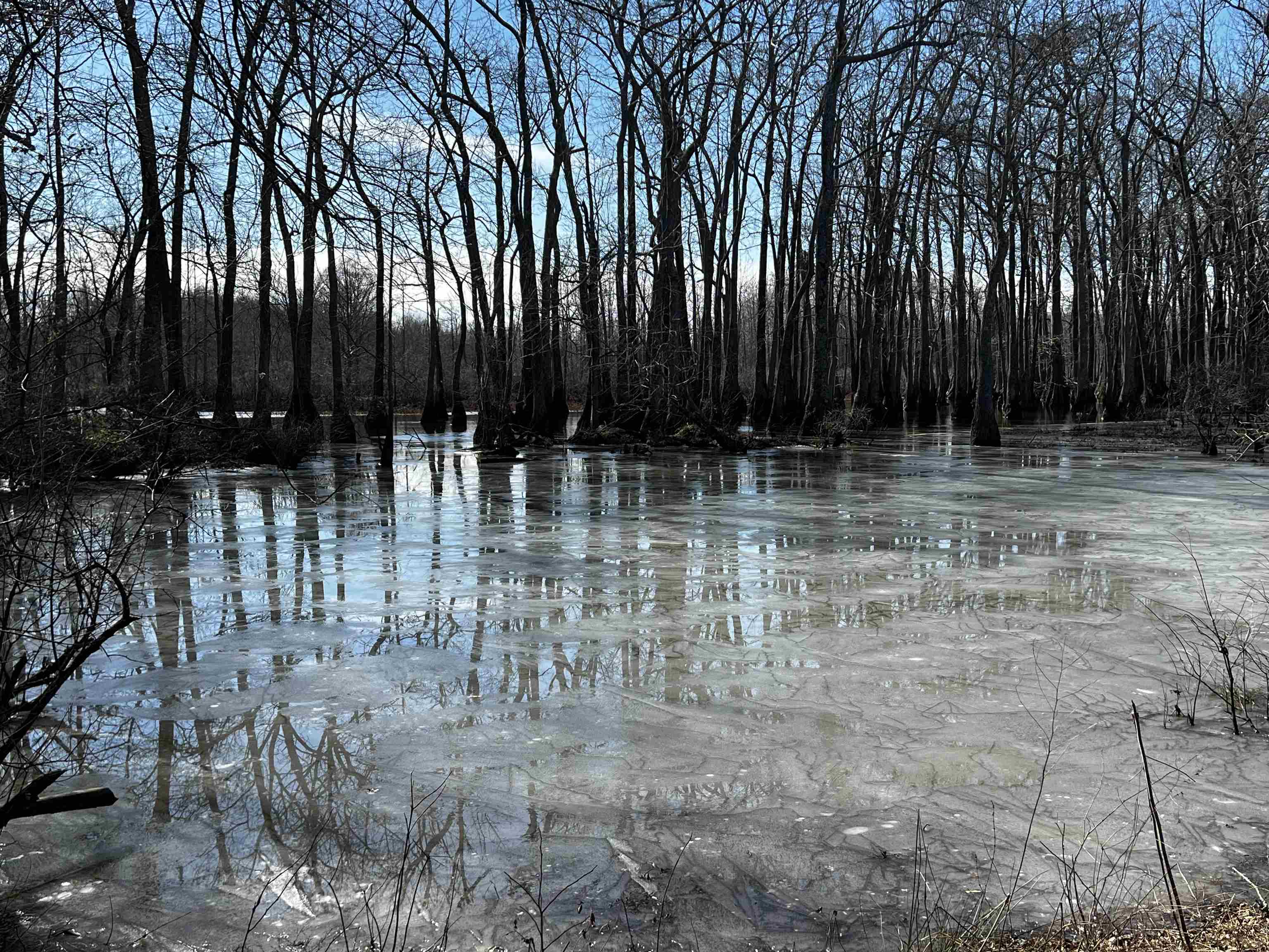 Metes & Bounds - Land