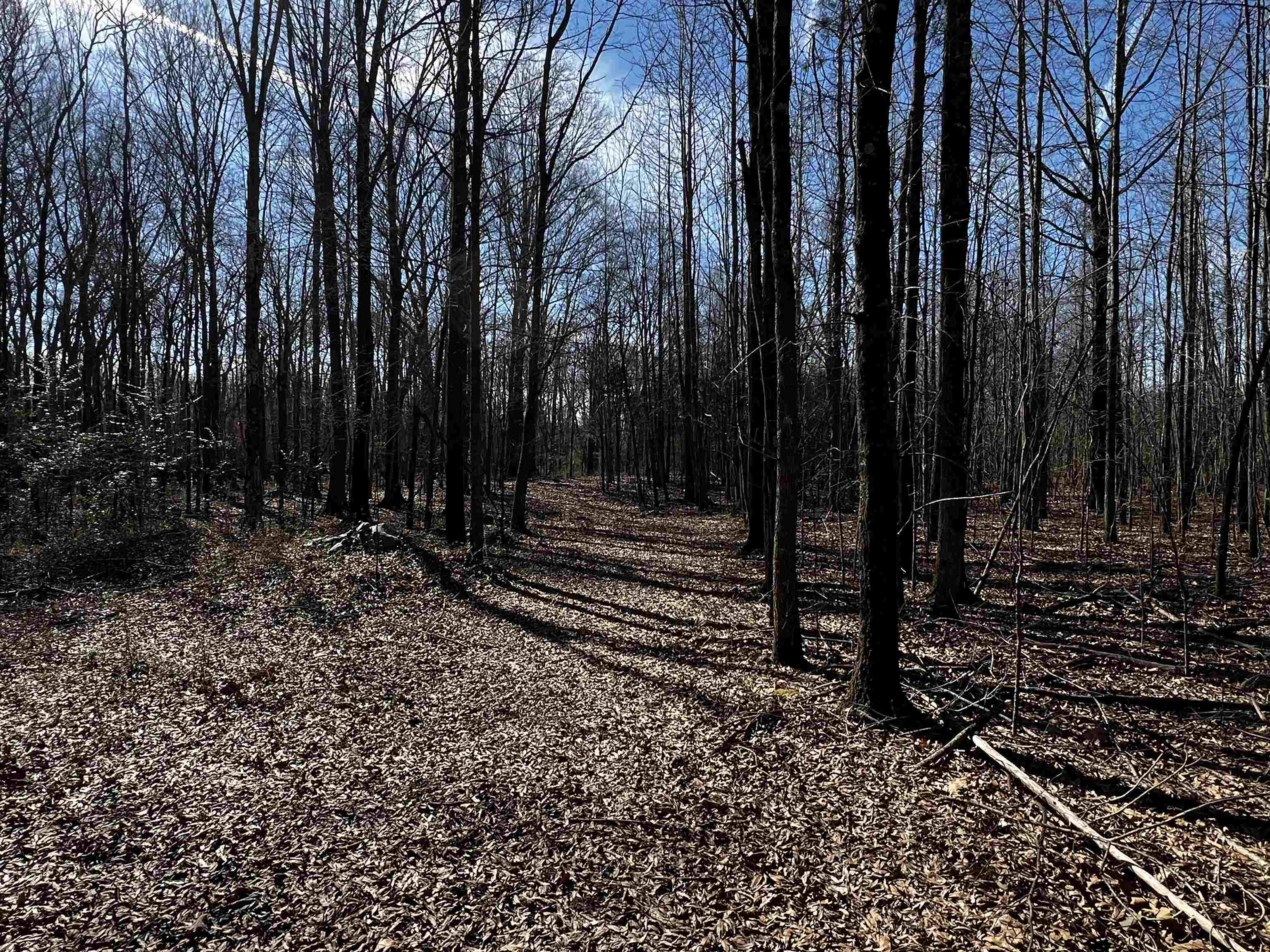 Metes & Bounds - Land